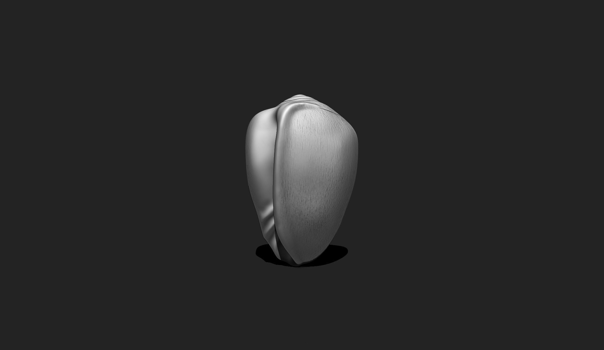 Shell 9 - Sea Shell 3D Printable Model 3D print model_3