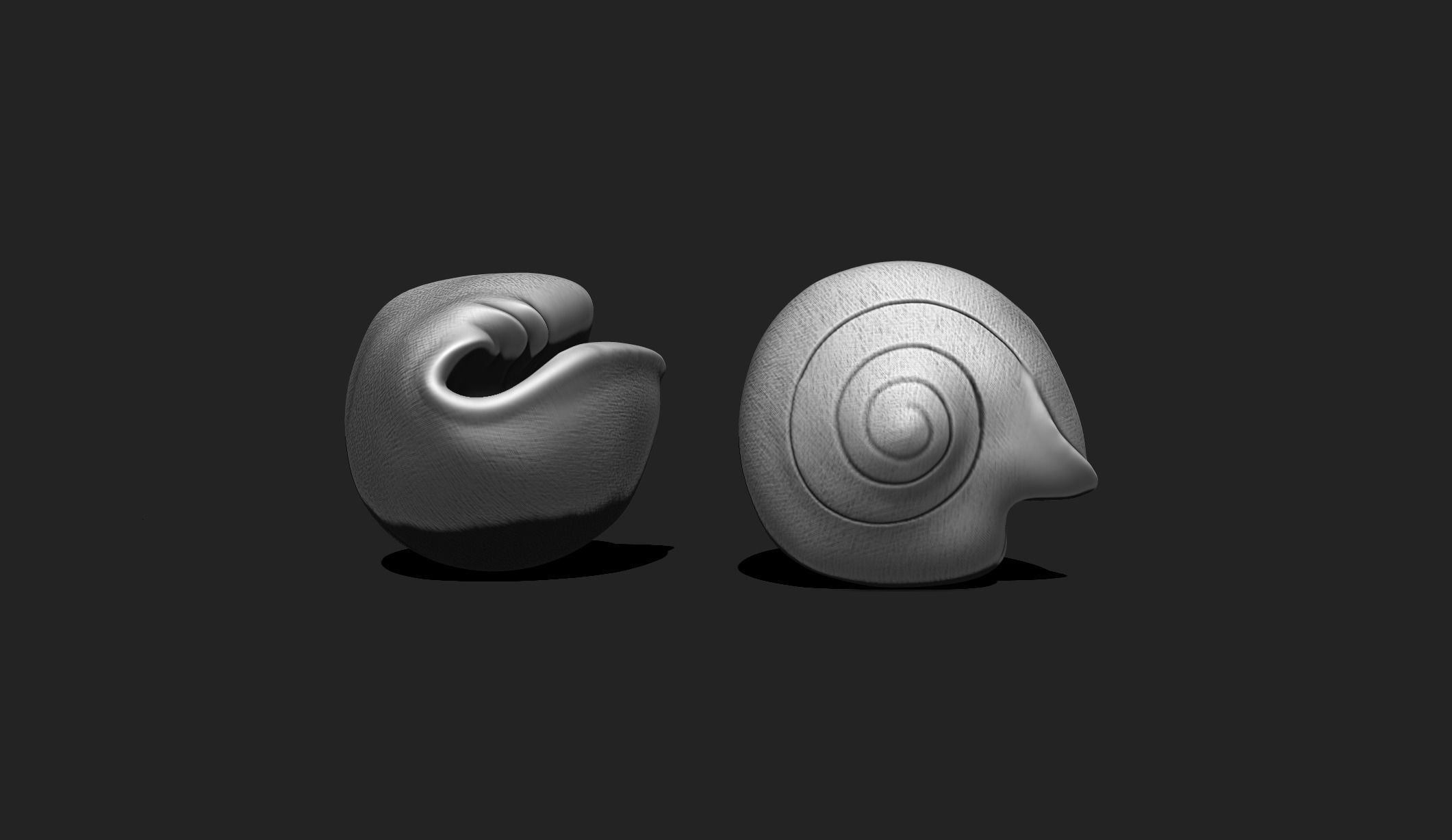 Shell 9 - Sea Shell 3D Printable Model 3D print model_5