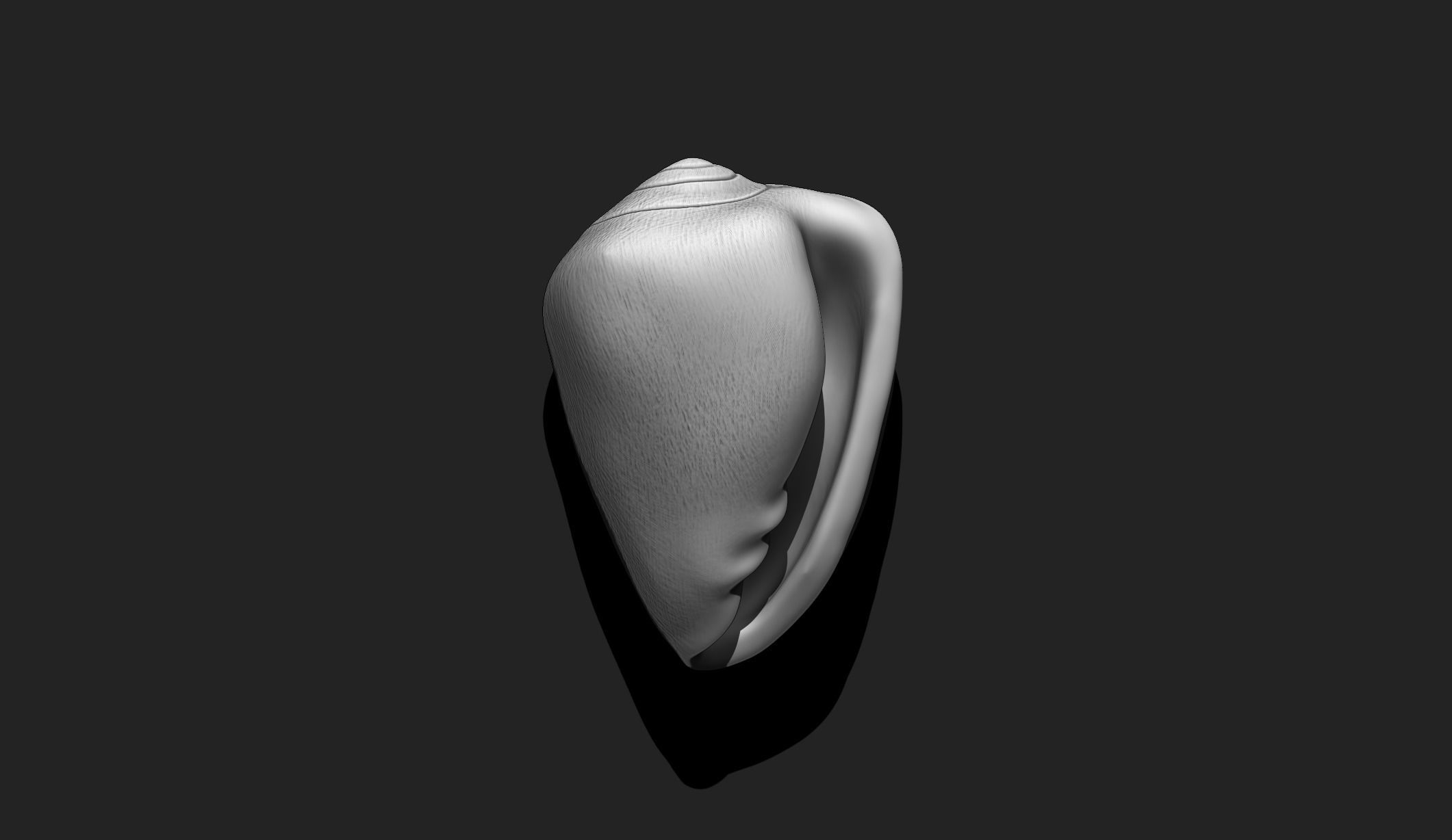 Shell 9 - Sea Shell 3D Printable Model 3D print model_2