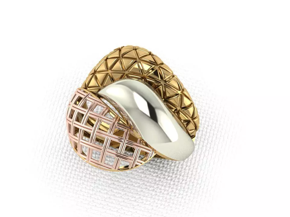 ring 125 3D print model