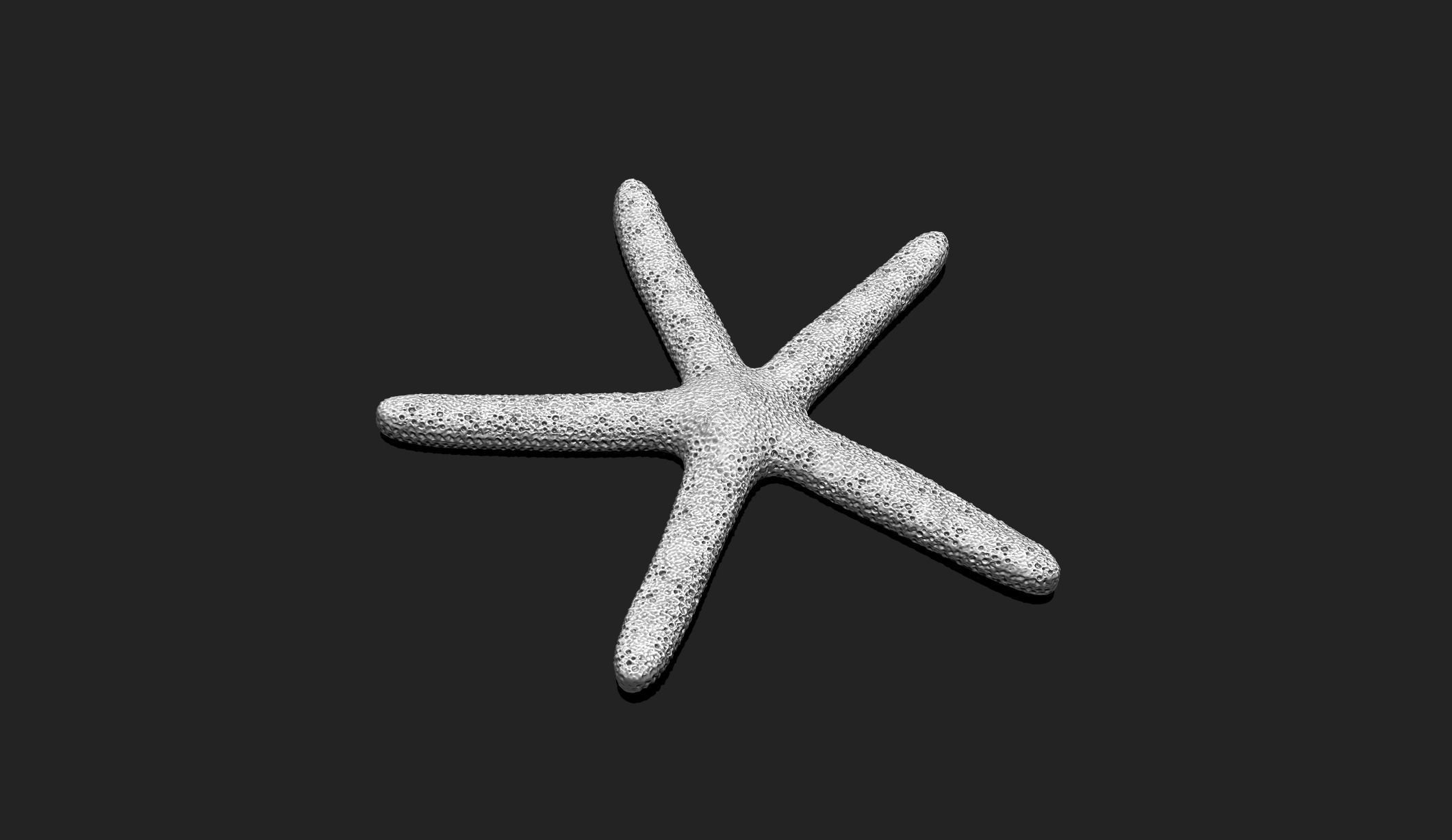 Starfish 1 - 3D Print - Aquarium 3D print model_3