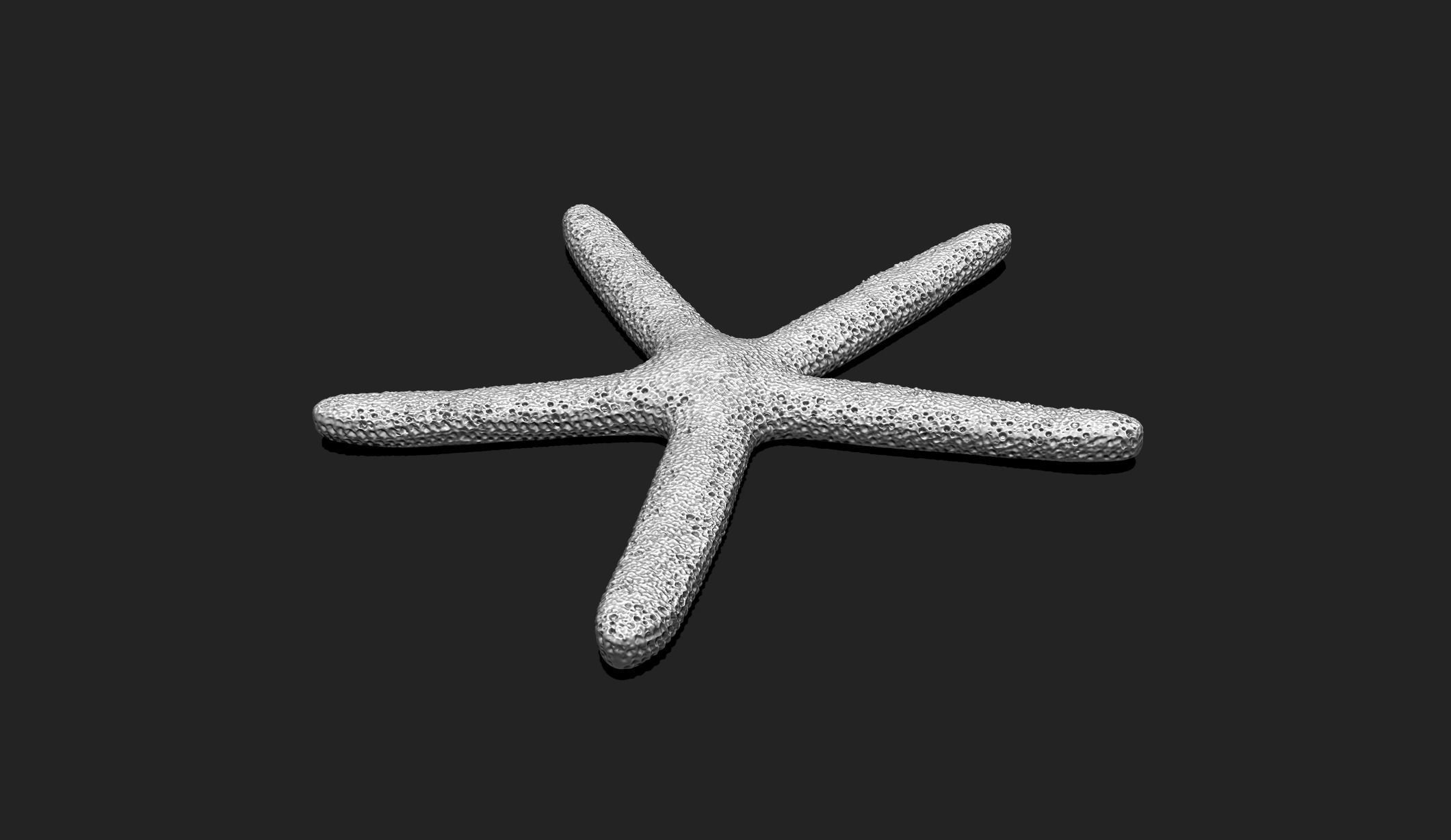 Starfish 1 - 3D Print - Aquarium 3D print model_1