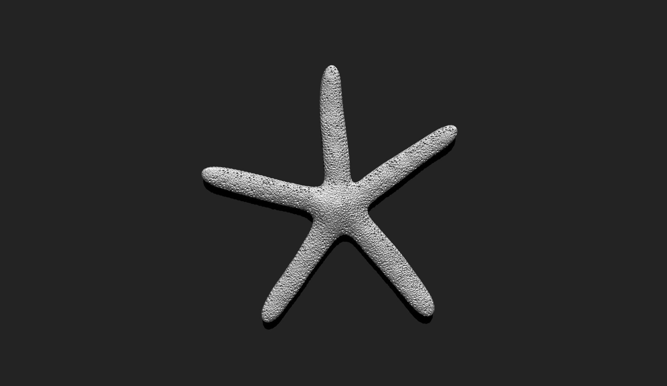 Starfish 1 - 3D Print - Aquarium 3D print model_5