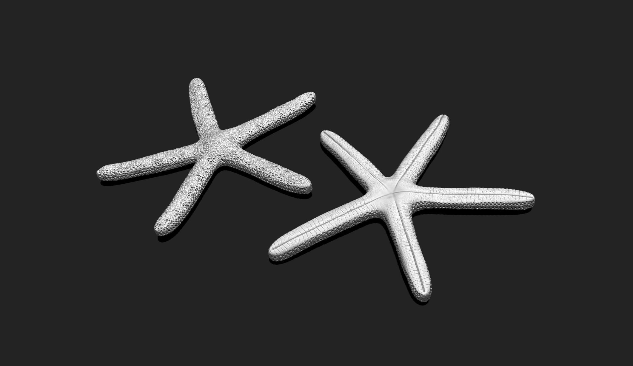 Starfish 1 - 3D Print - Aquarium 3D print model_2