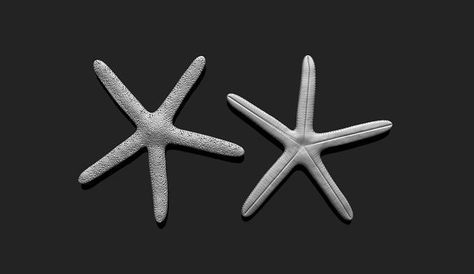 Starfish 1 - 3D Print - Aquarium 3D print model