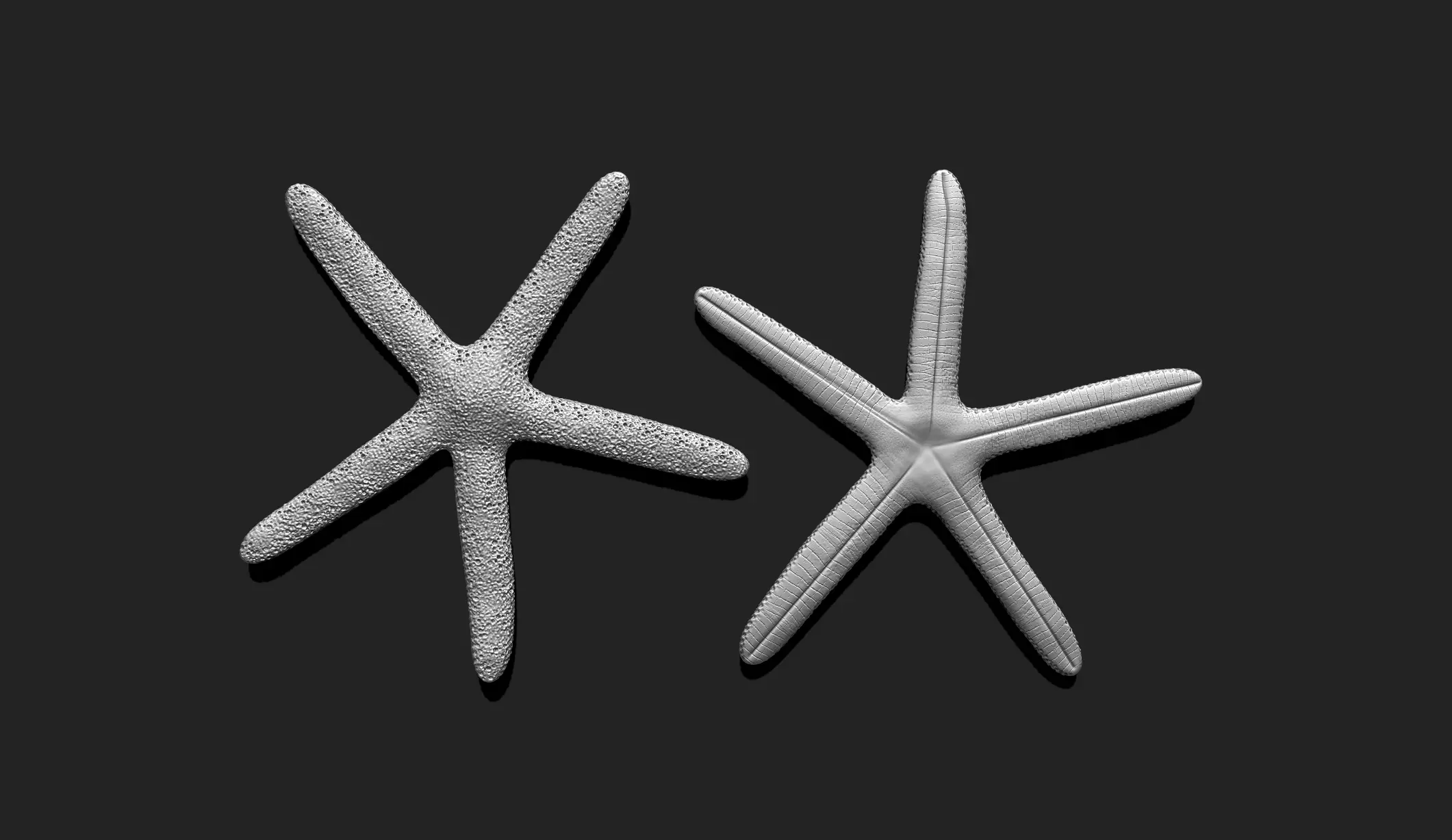 Starfish 1 - 3D Print - Aquarium 3D print model_0