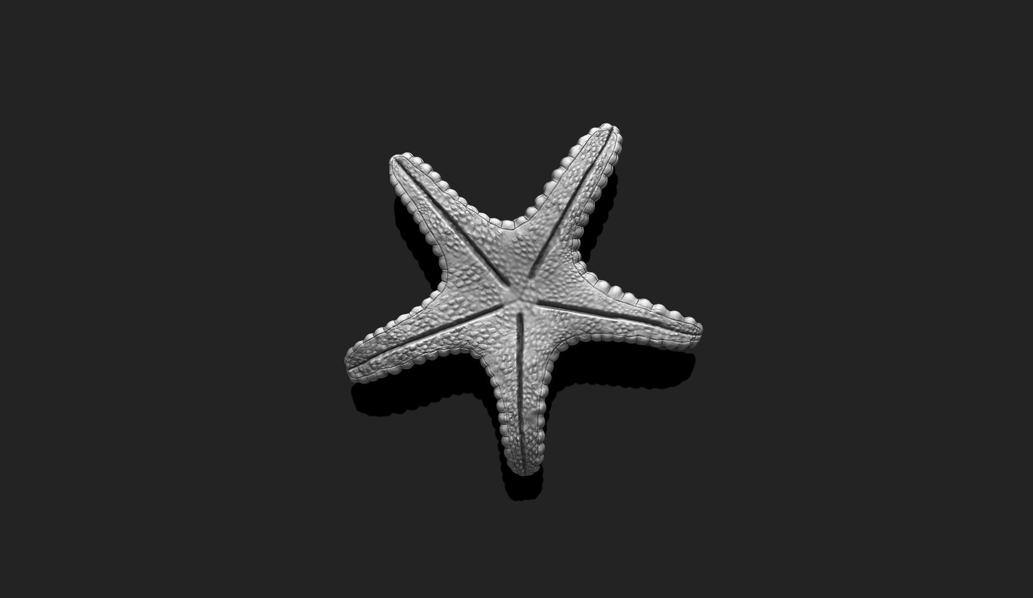 Starfish 2 - 3D Print - Aquarium 3D print model_4