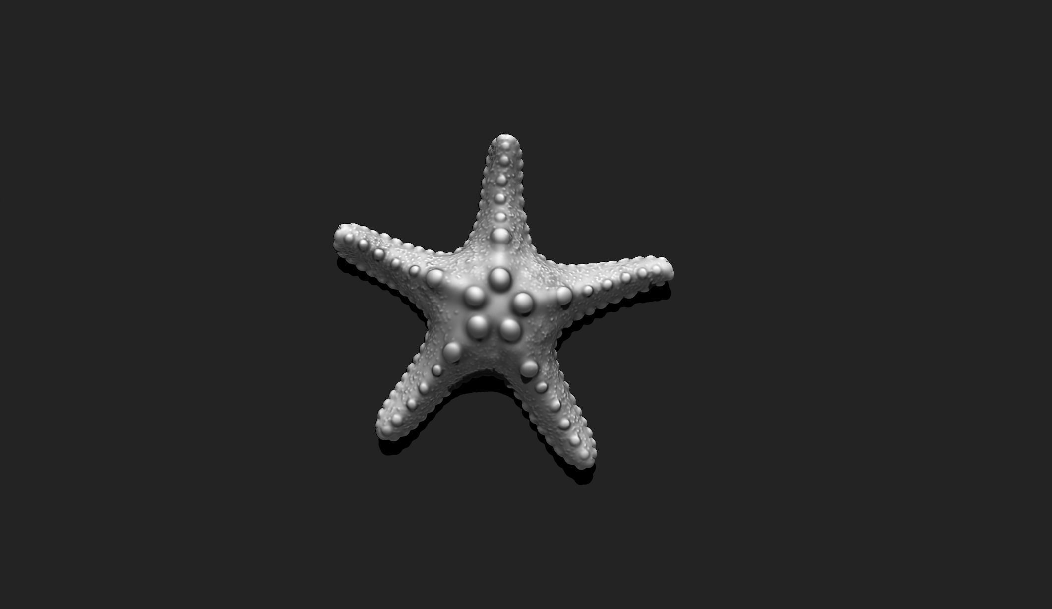 Starfish 2 - 3D Print - Aquarium 3D print model_2