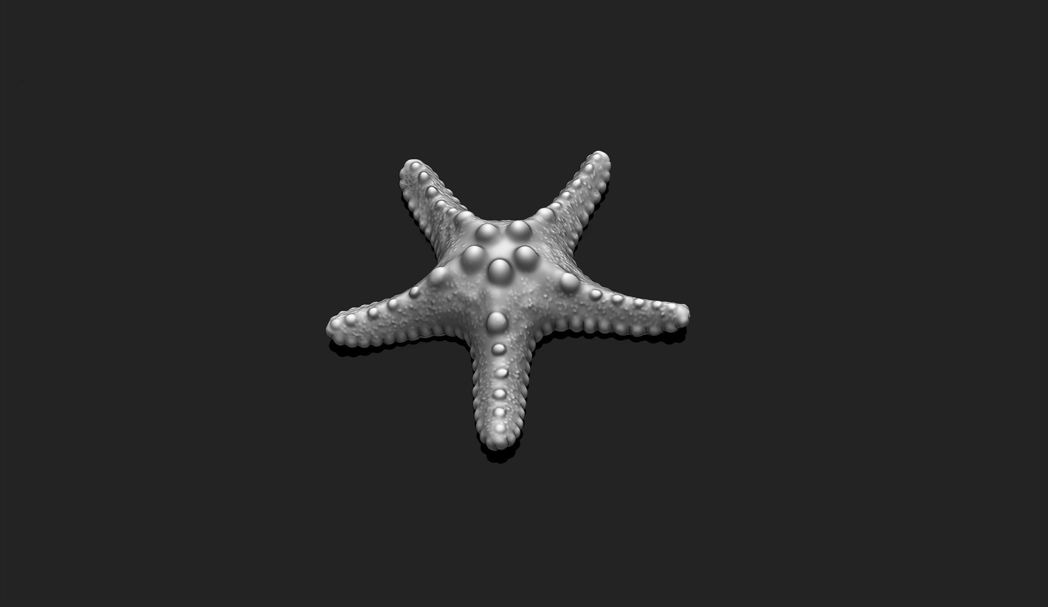 Starfish 2 - 3D Print - Aquarium 3D print model_5