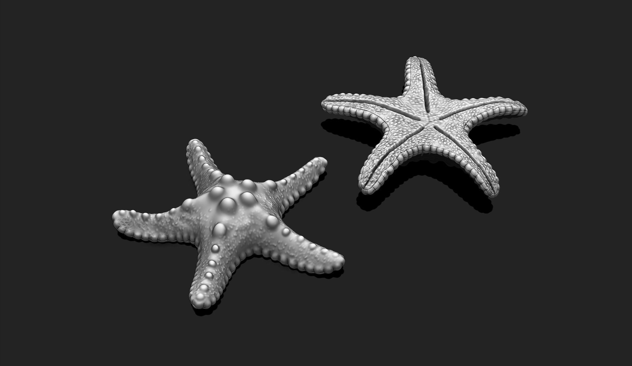 Starfish 2 - 3D Print - Aquarium 3D print model_1