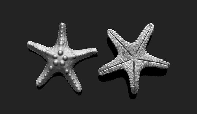 Starfish 2 - 3D Print - Aquarium 3D print model
