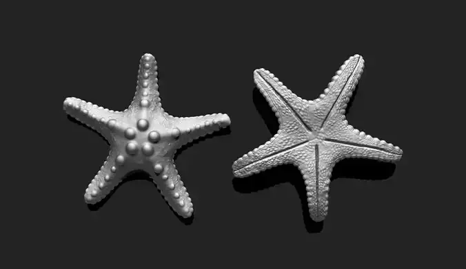 Starfish 2 - 3D Print - Aquarium 3D print model