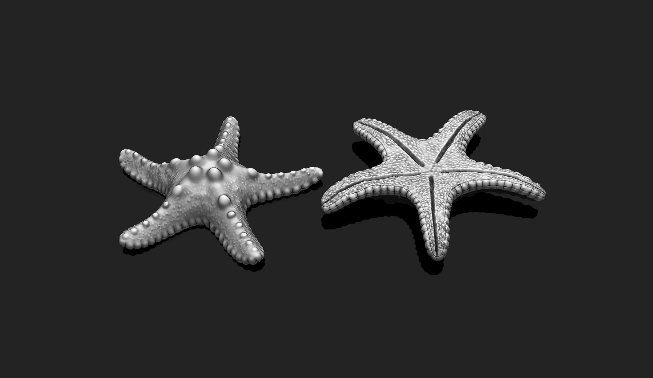 Starfish 2 - 3D Print - Aquarium 3D print model_3