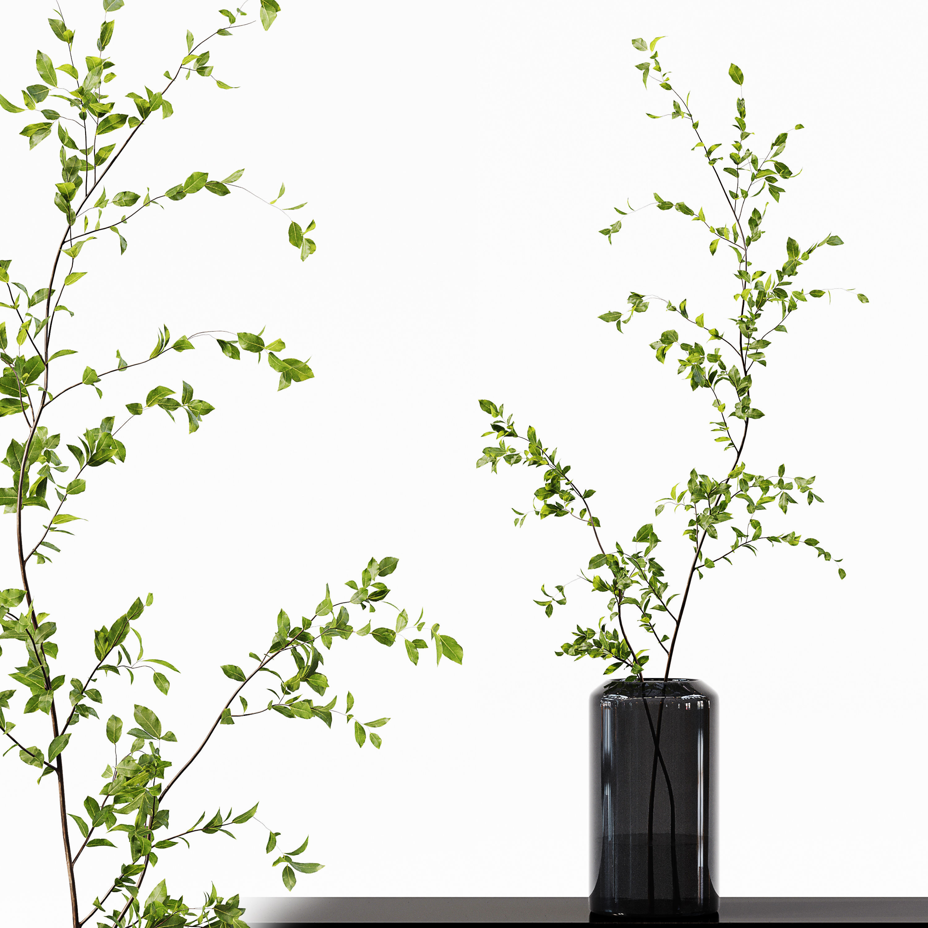 Collection Indoor Plants 015 3D model_5