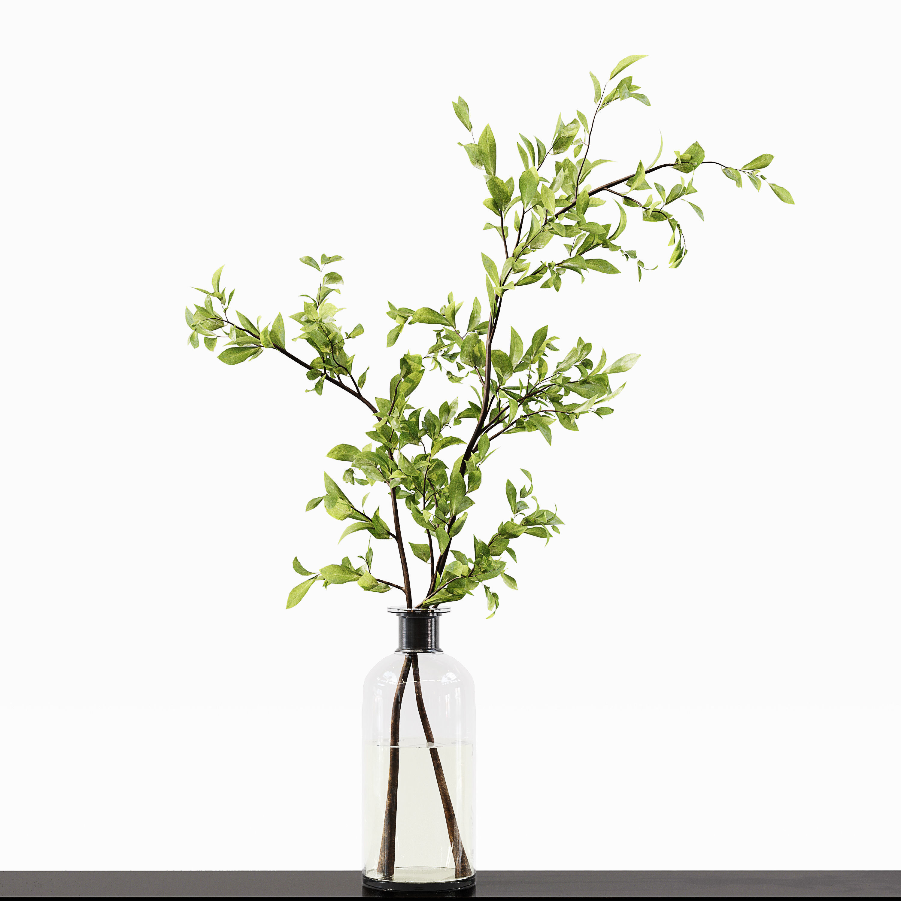 Collection Indoor Plants 015 3D model_4