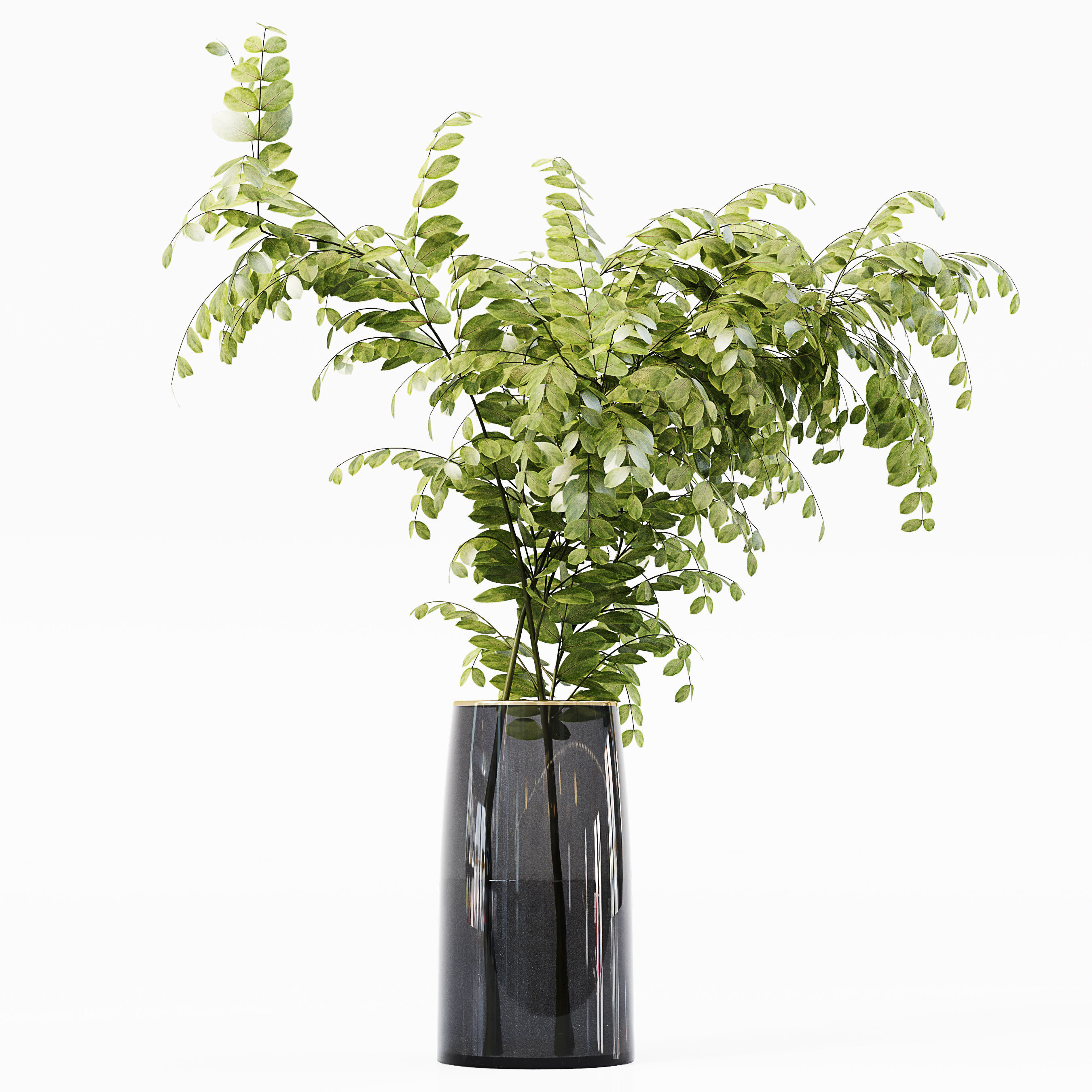 Collection Indoor Plants 015 3D model_1