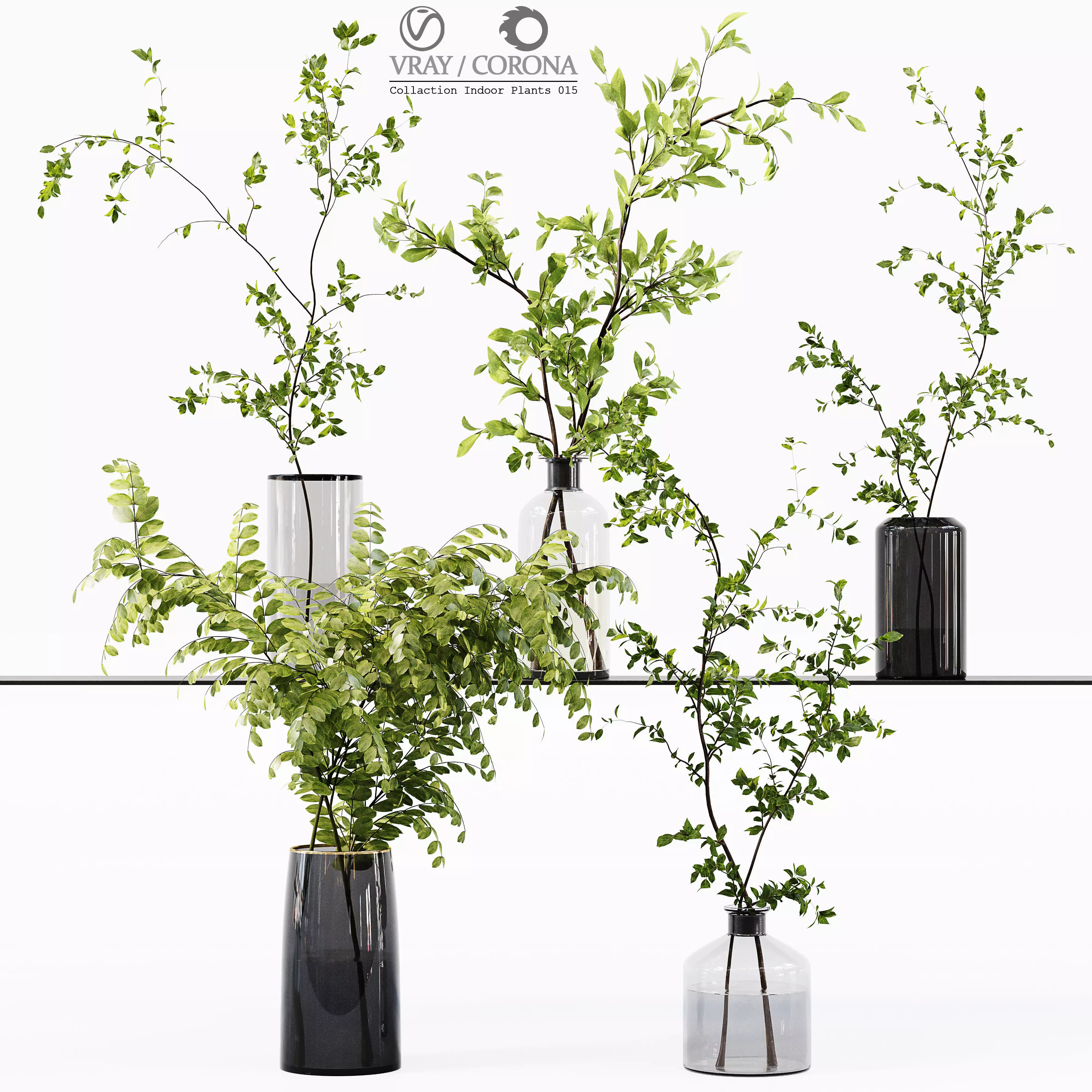 Collection Indoor Plants 015 3D model_0