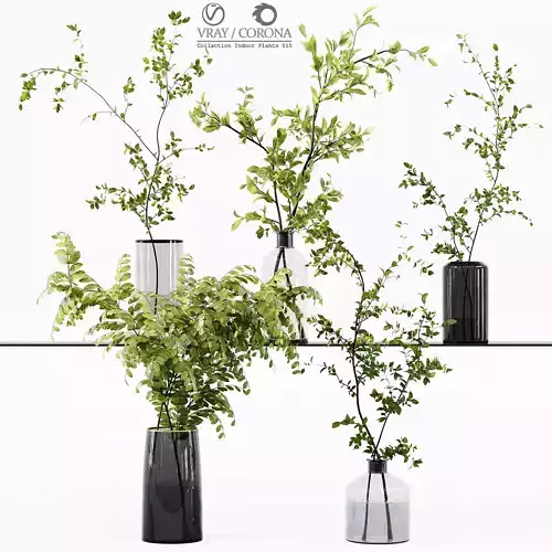Collection Indoor Plants 015 3D model