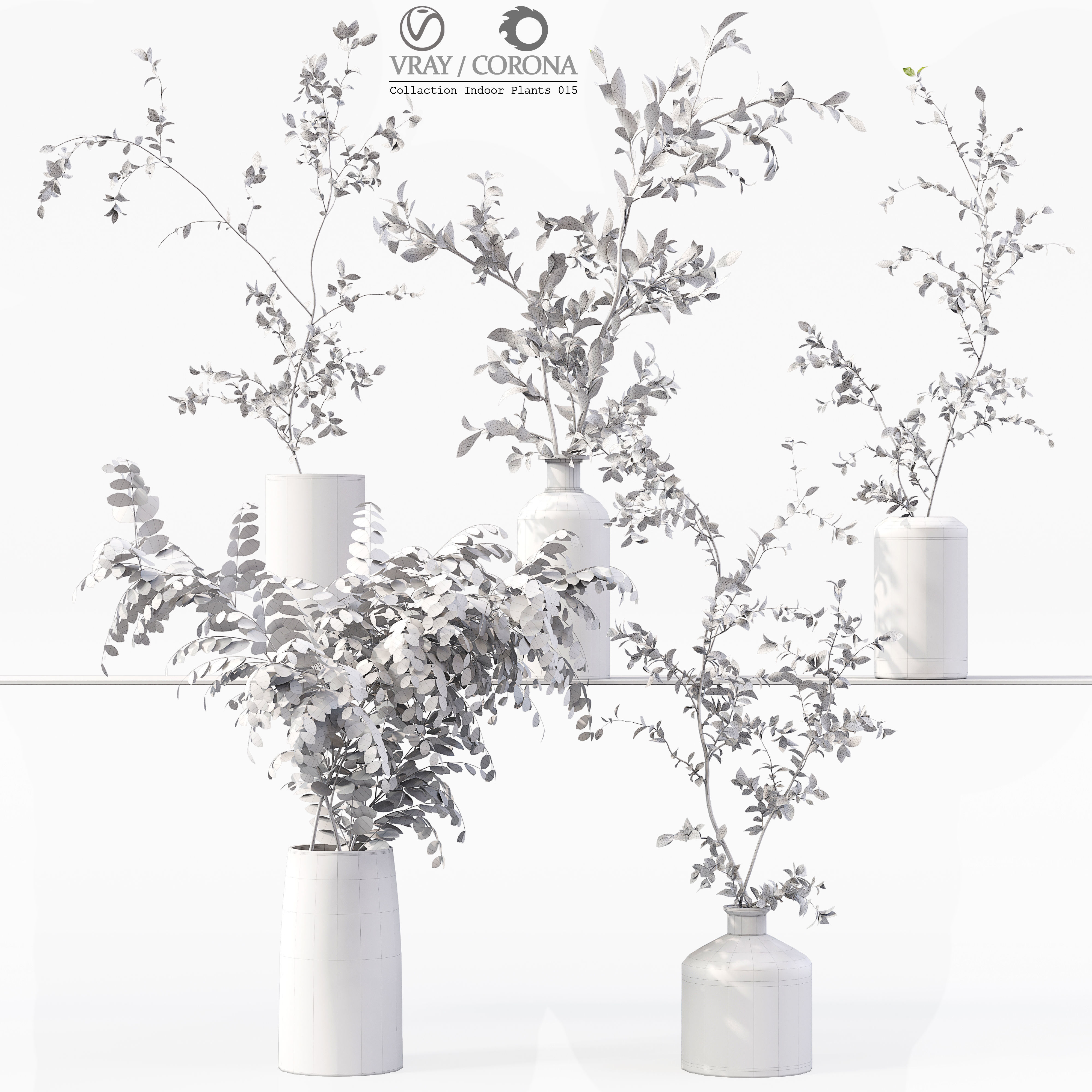Collection Indoor Plants 015 3D model_6