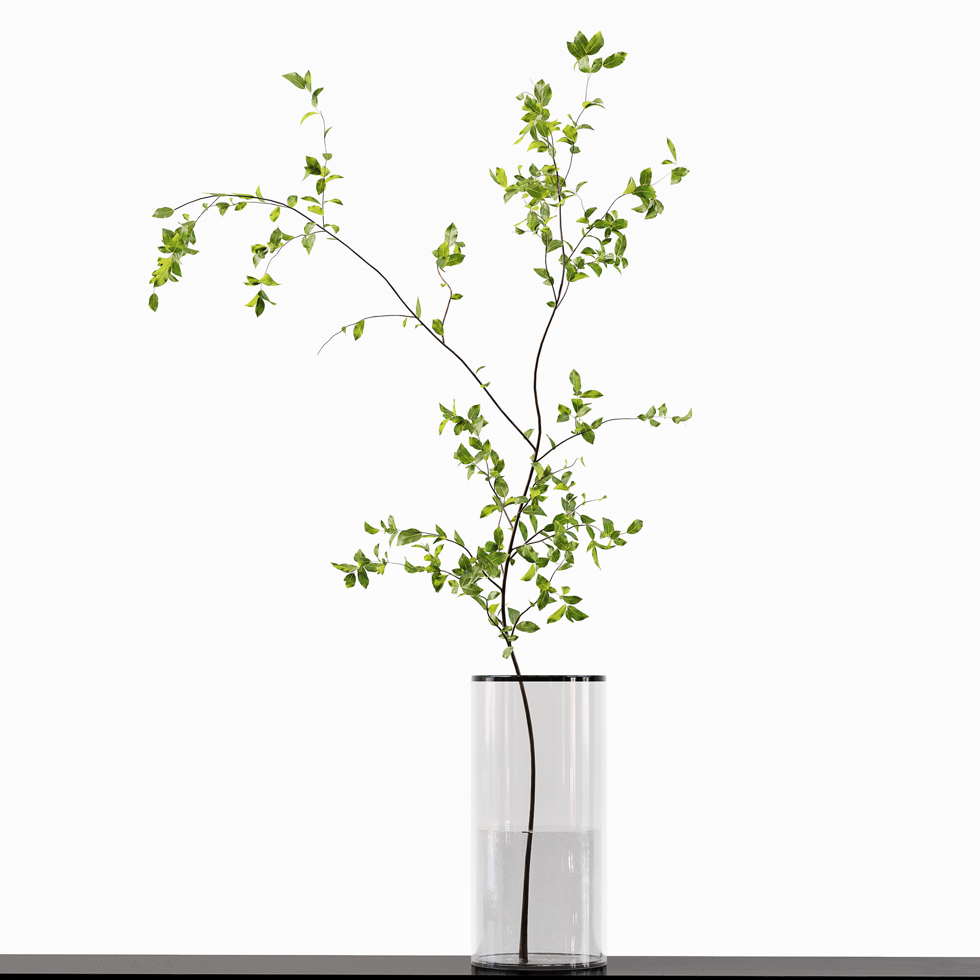 Collection Indoor Plants 015 3D model_3