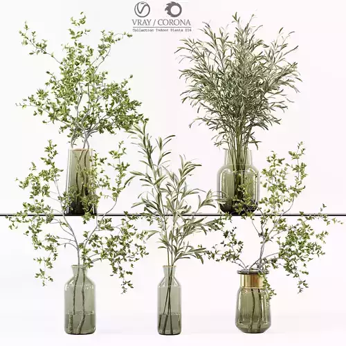 Collection Indoor Plants 016 3D model
