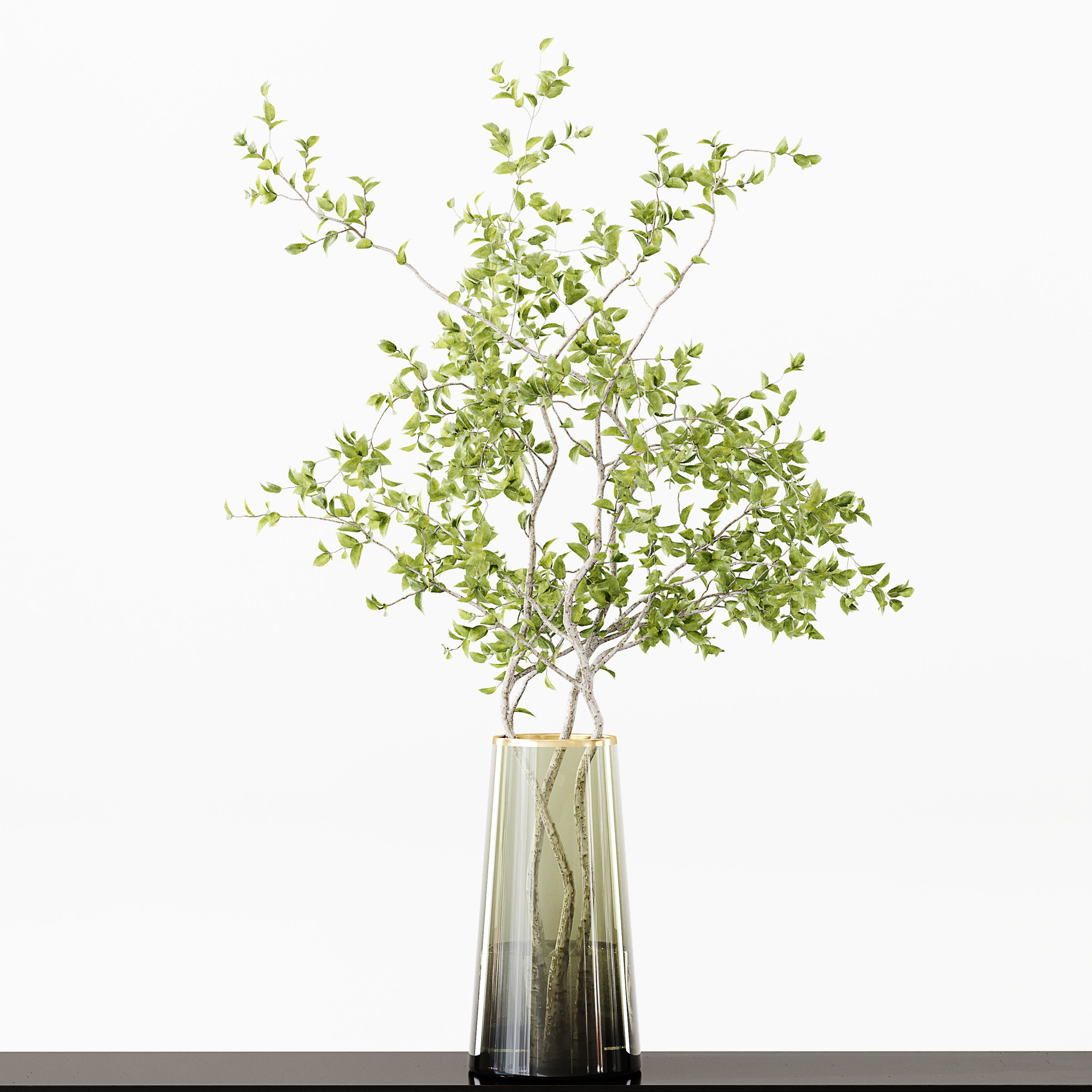 Collection Indoor Plants 016 3D model_3