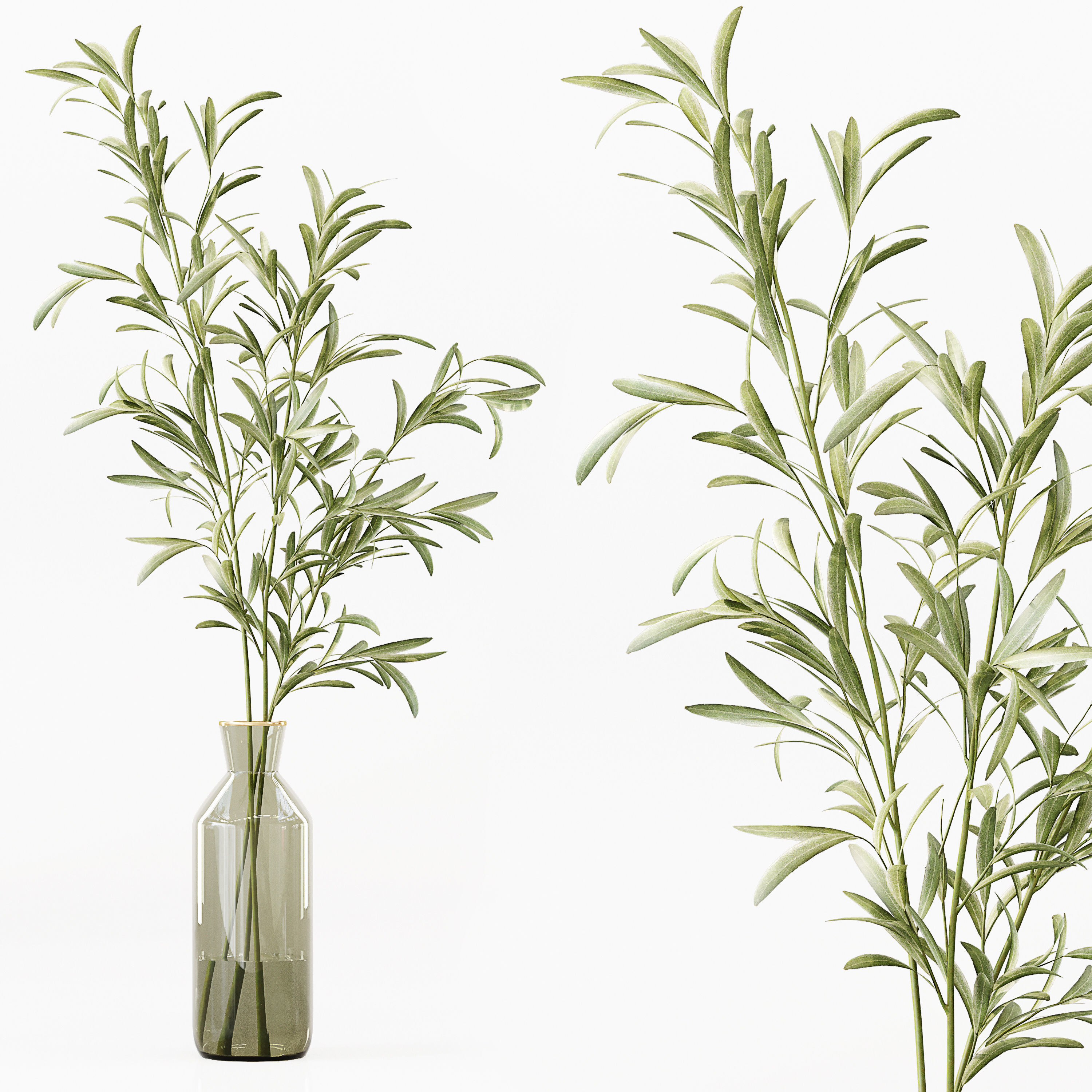 Collection Indoor Plants 016 3D model_2