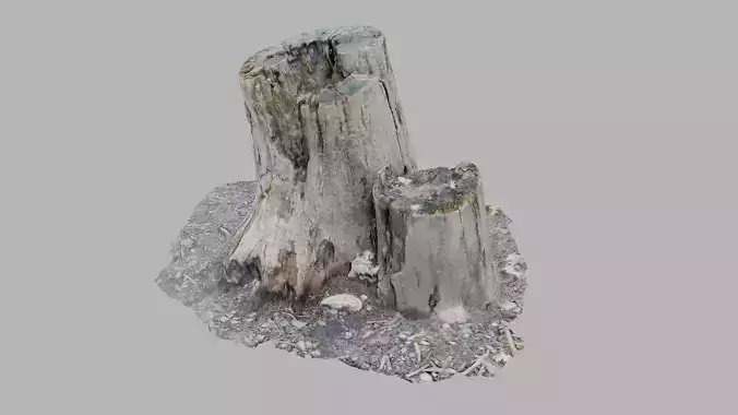 Rotting Tree Stumps - Photoscan 3D Model - Varying LOD Free low-poly 3D model
