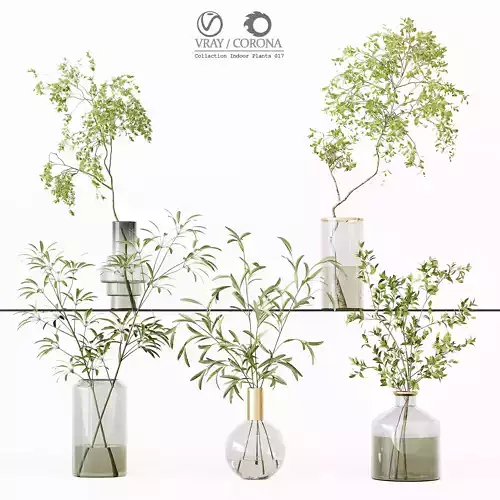 Collection Indoor Plants 017 3D model