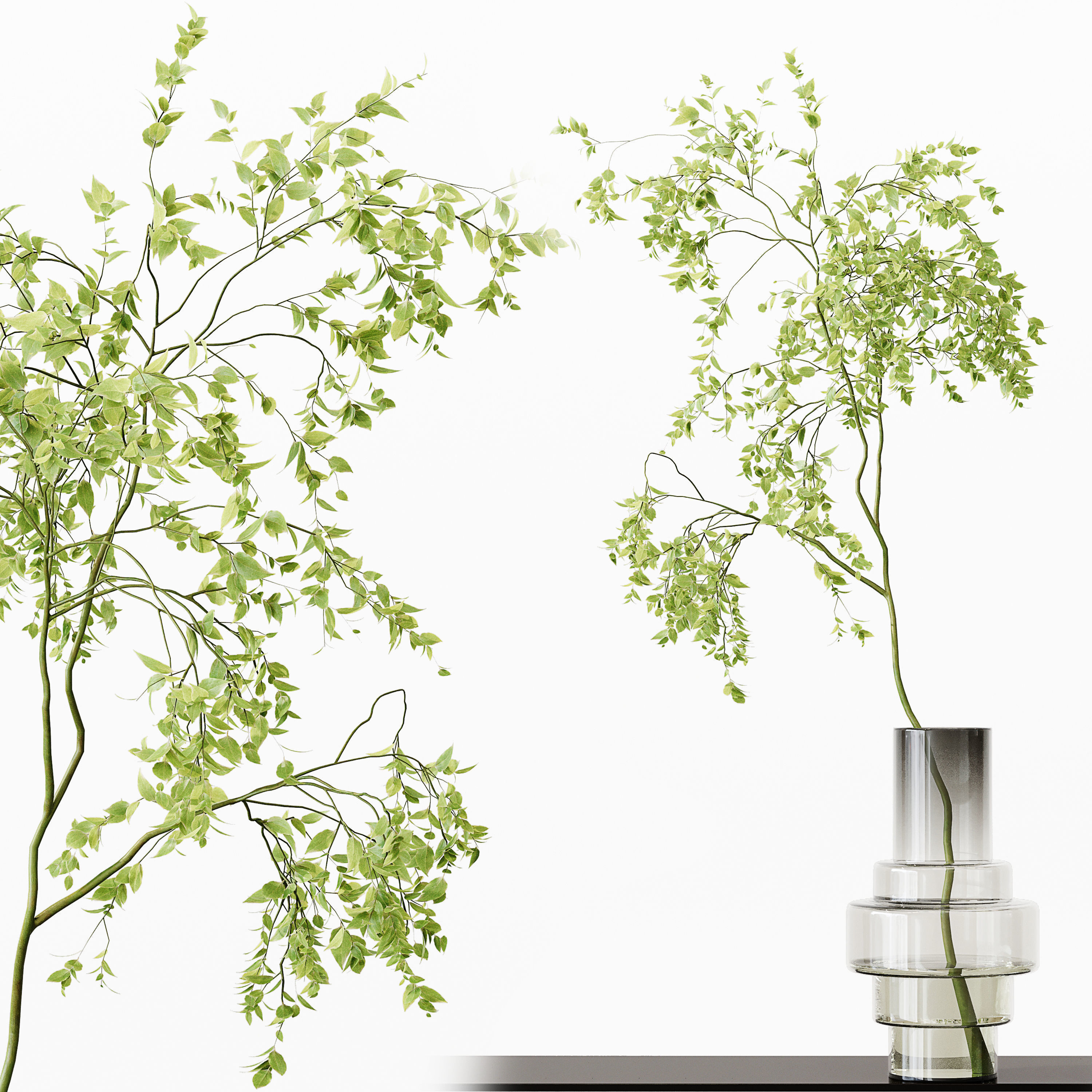 Collection Indoor Plants 017 3D model_3