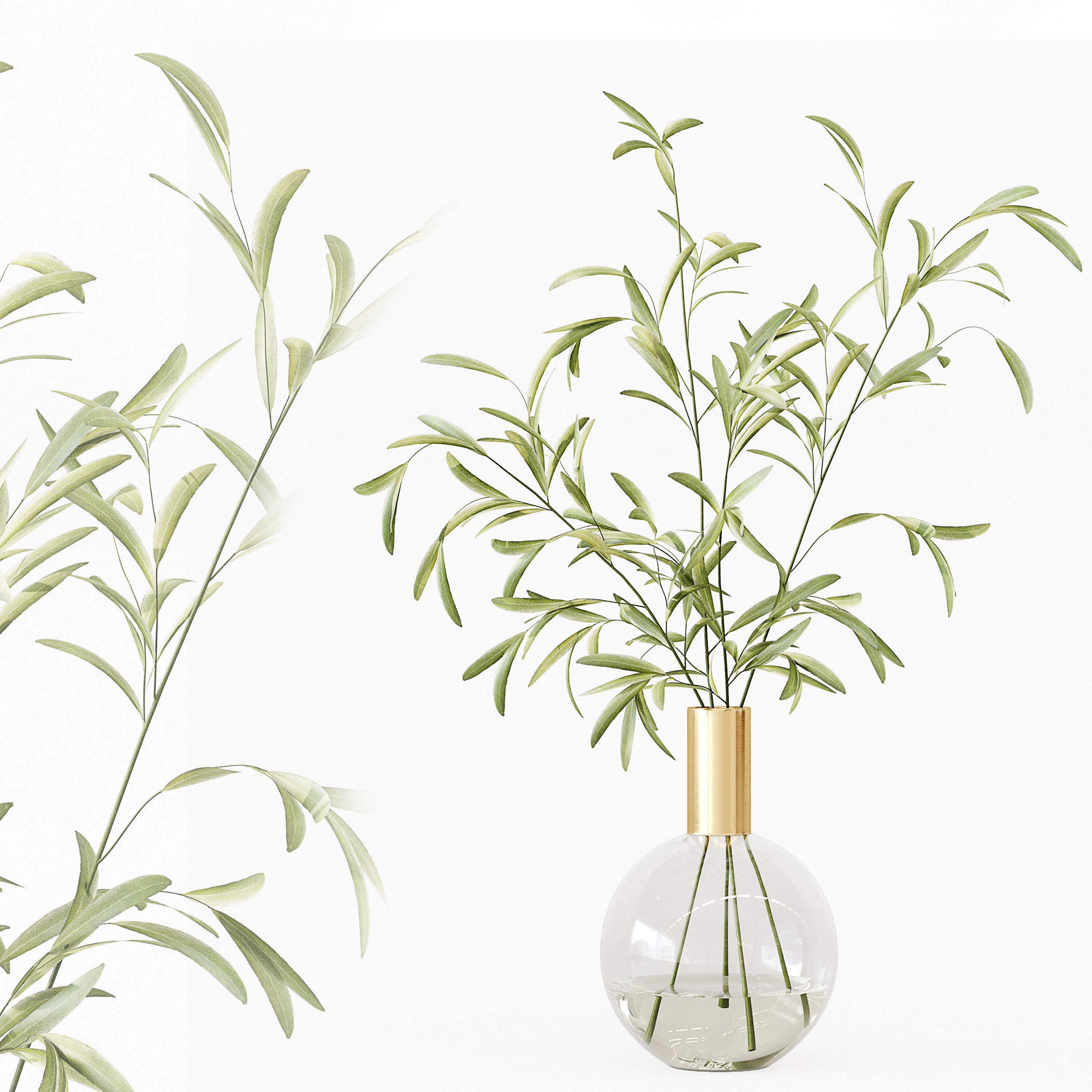 Collection Indoor Plants 017 3D model_5