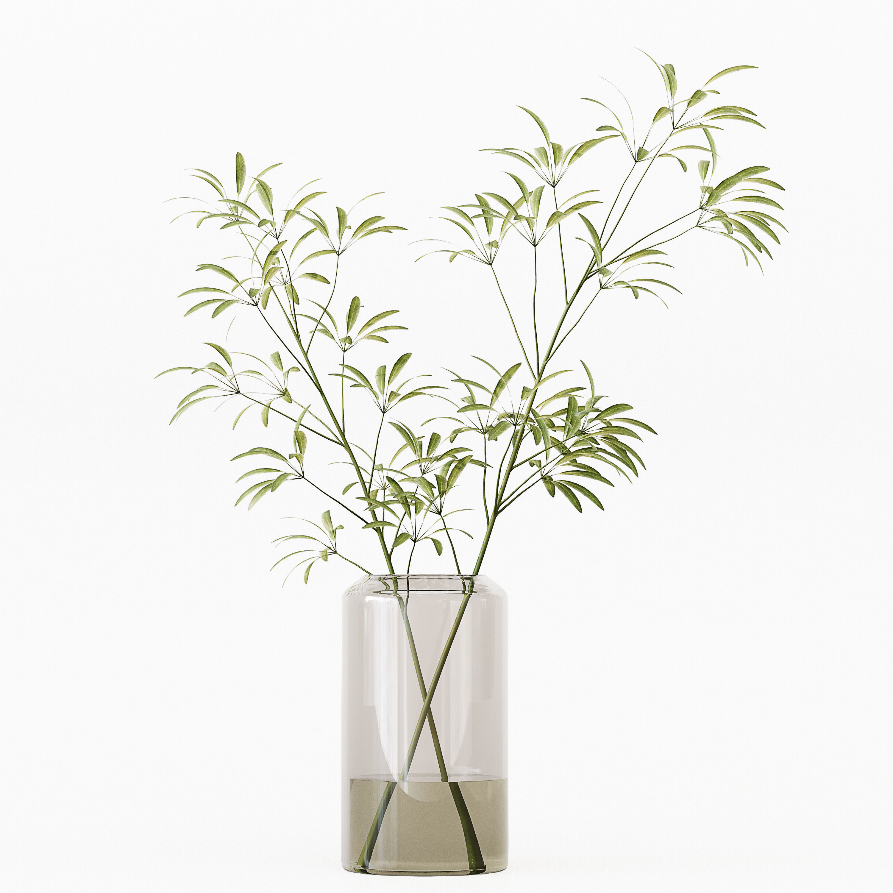 Collection Indoor Plants 017 3D model_8