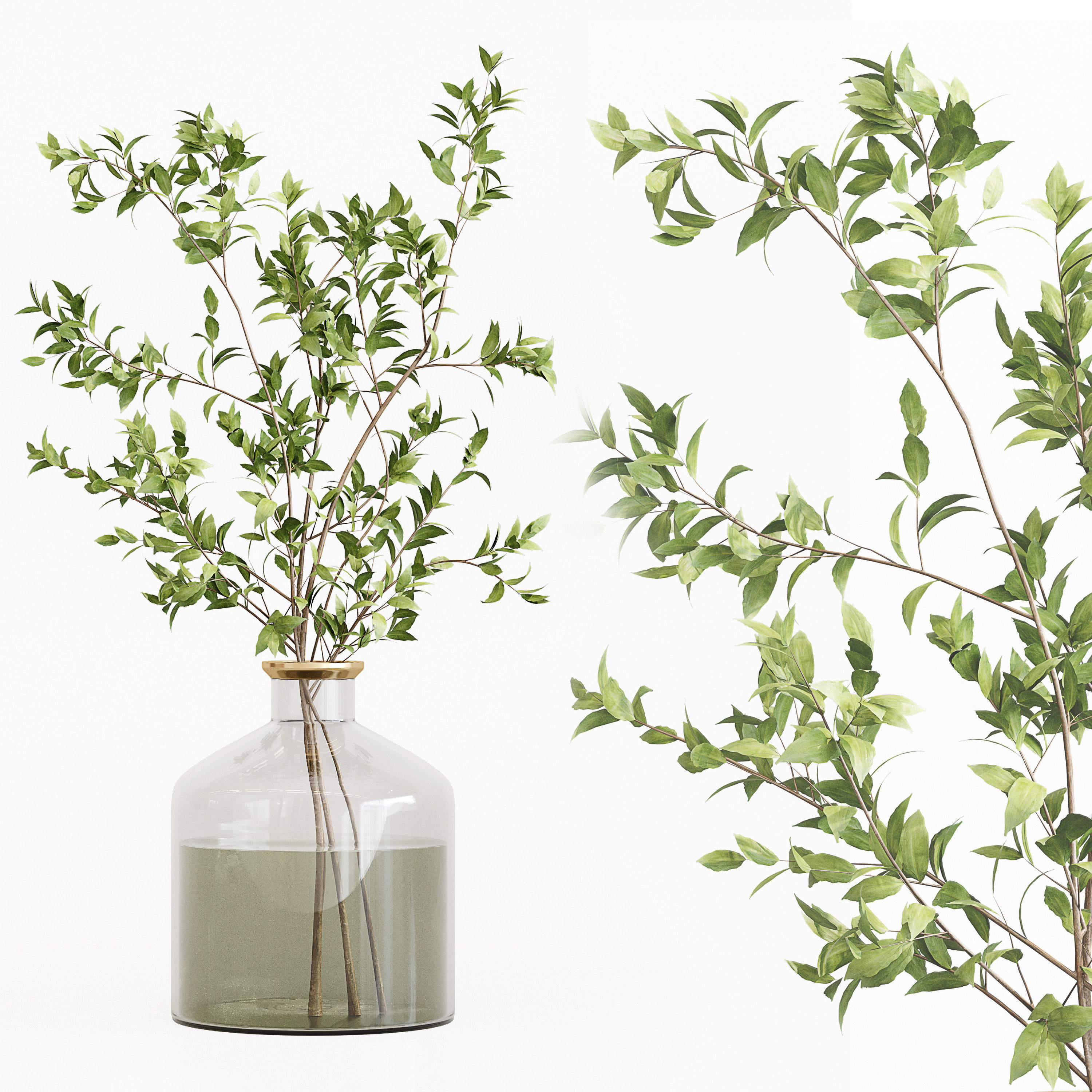 Collection Indoor Plants 017 3D model_10