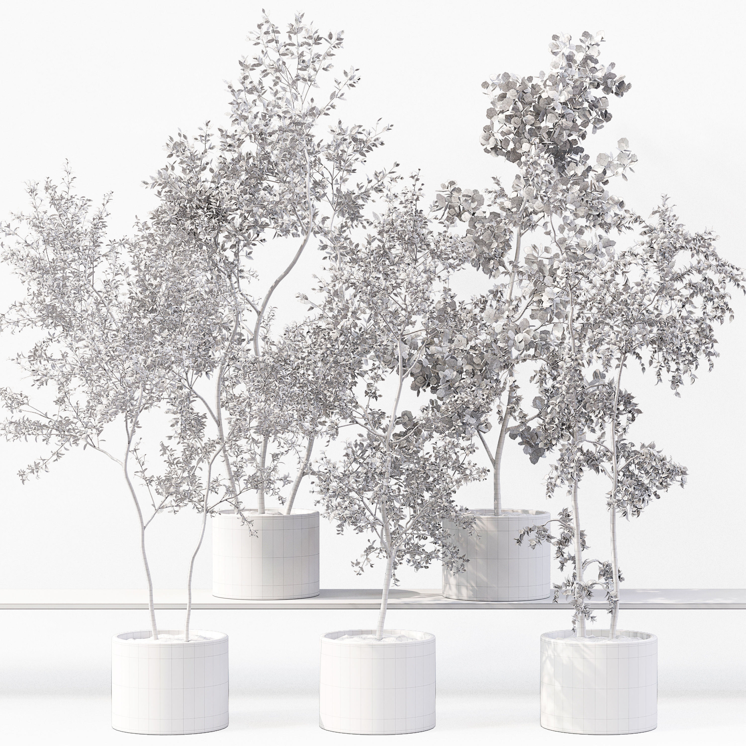 Collection Indoor Plants 018 3D model_6