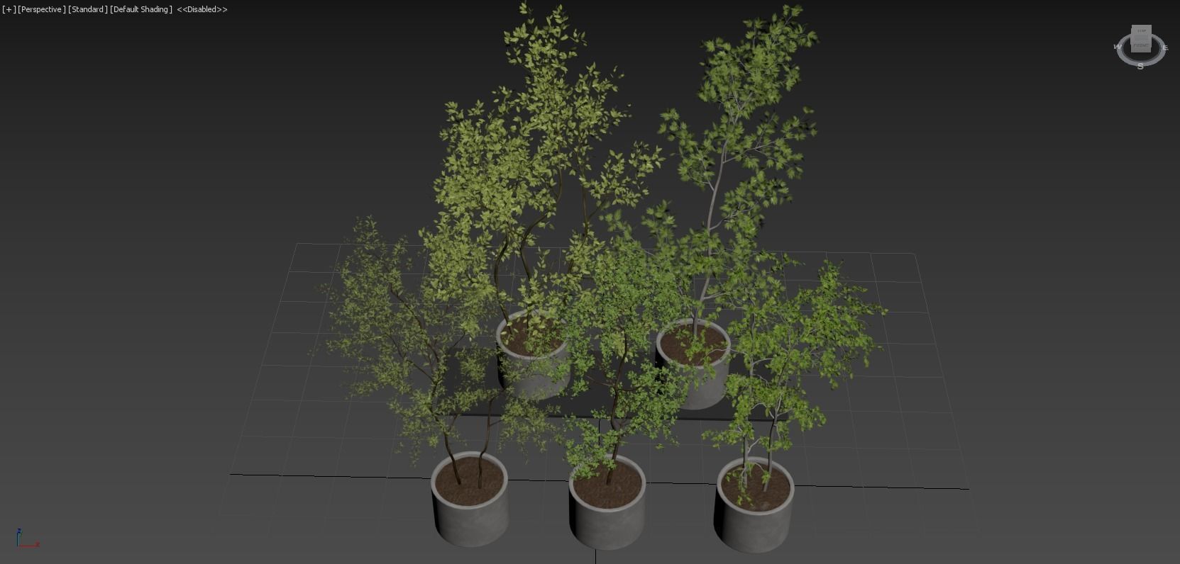 Collection Indoor Plants 018 3D model_8
