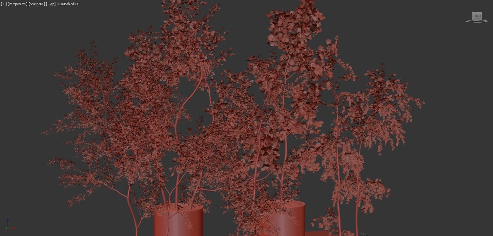 Collection Indoor Plants 018 3D model_12