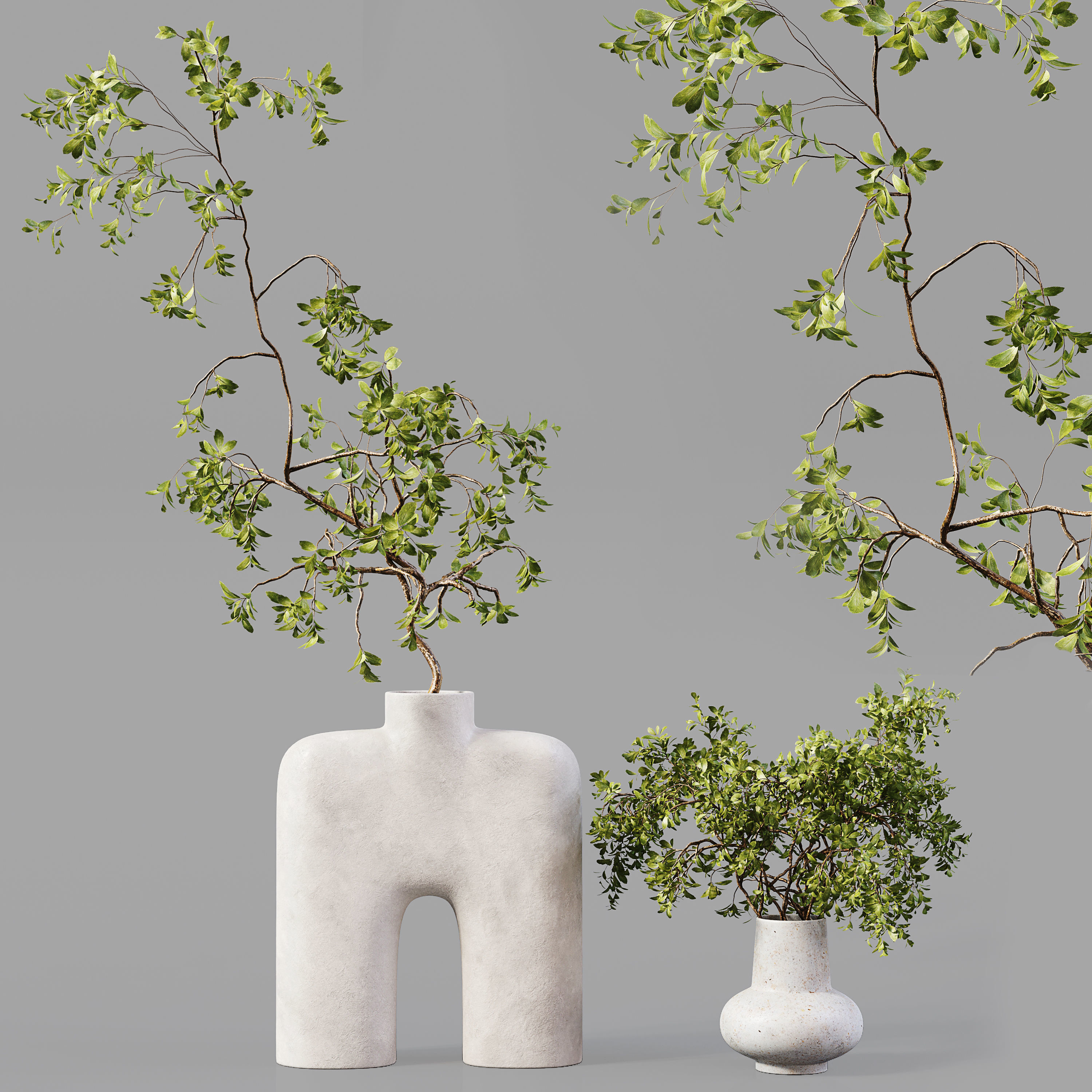 Collection Indoor Plants 019 3D model_7