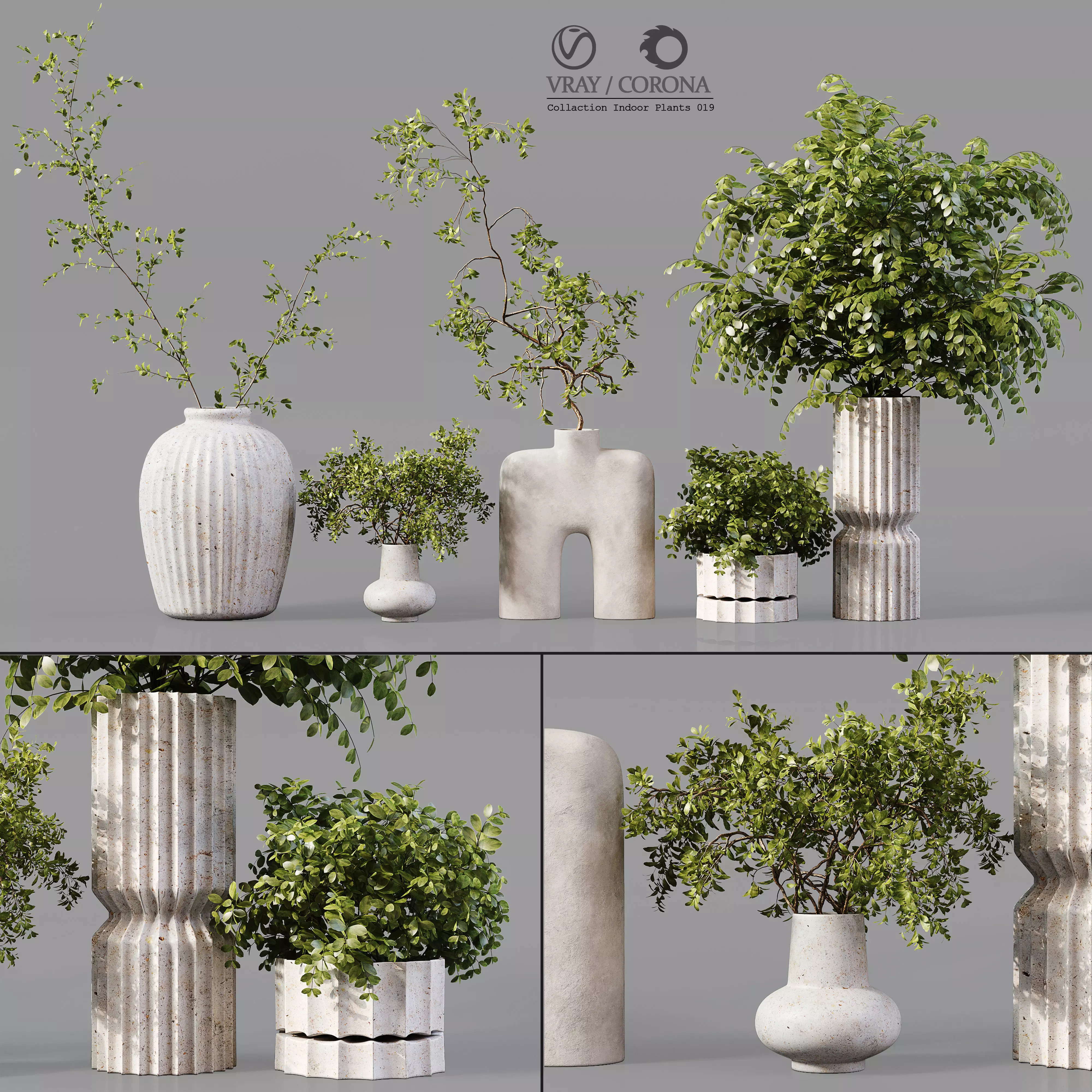 Collection Indoor Plants 019 3D model_0