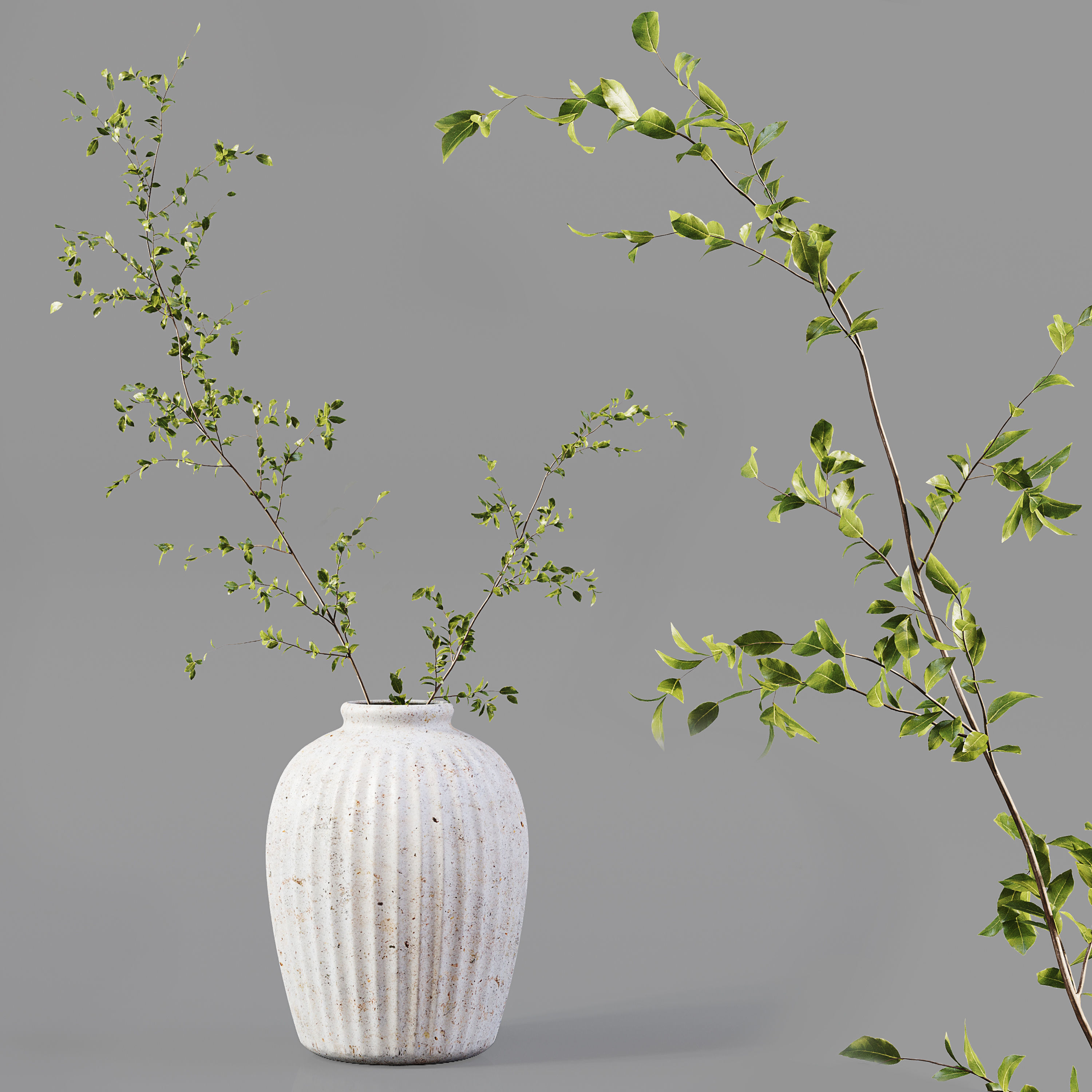 Collection Indoor Plants 019 3D model_6