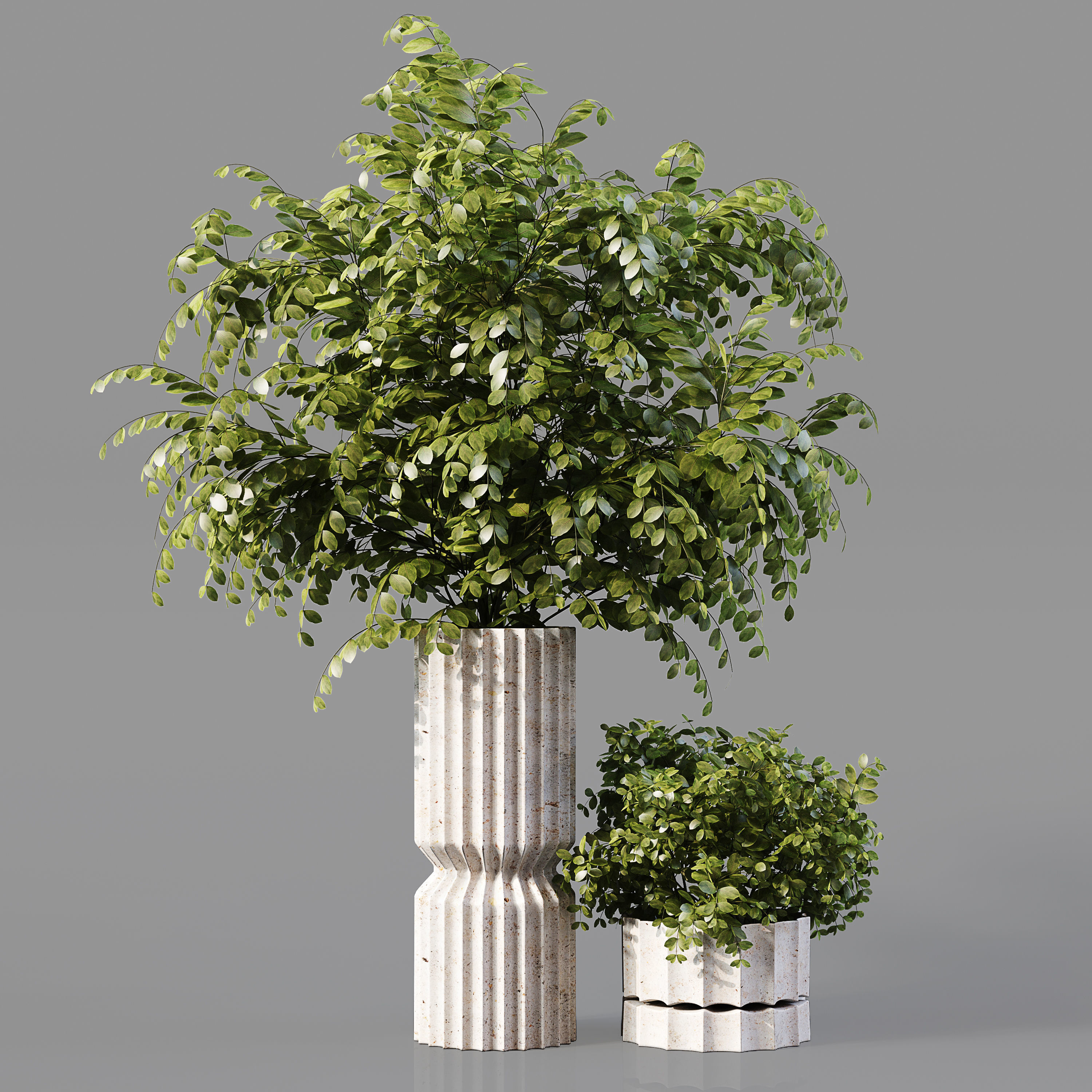 Collection Indoor Plants 019 3D model_1