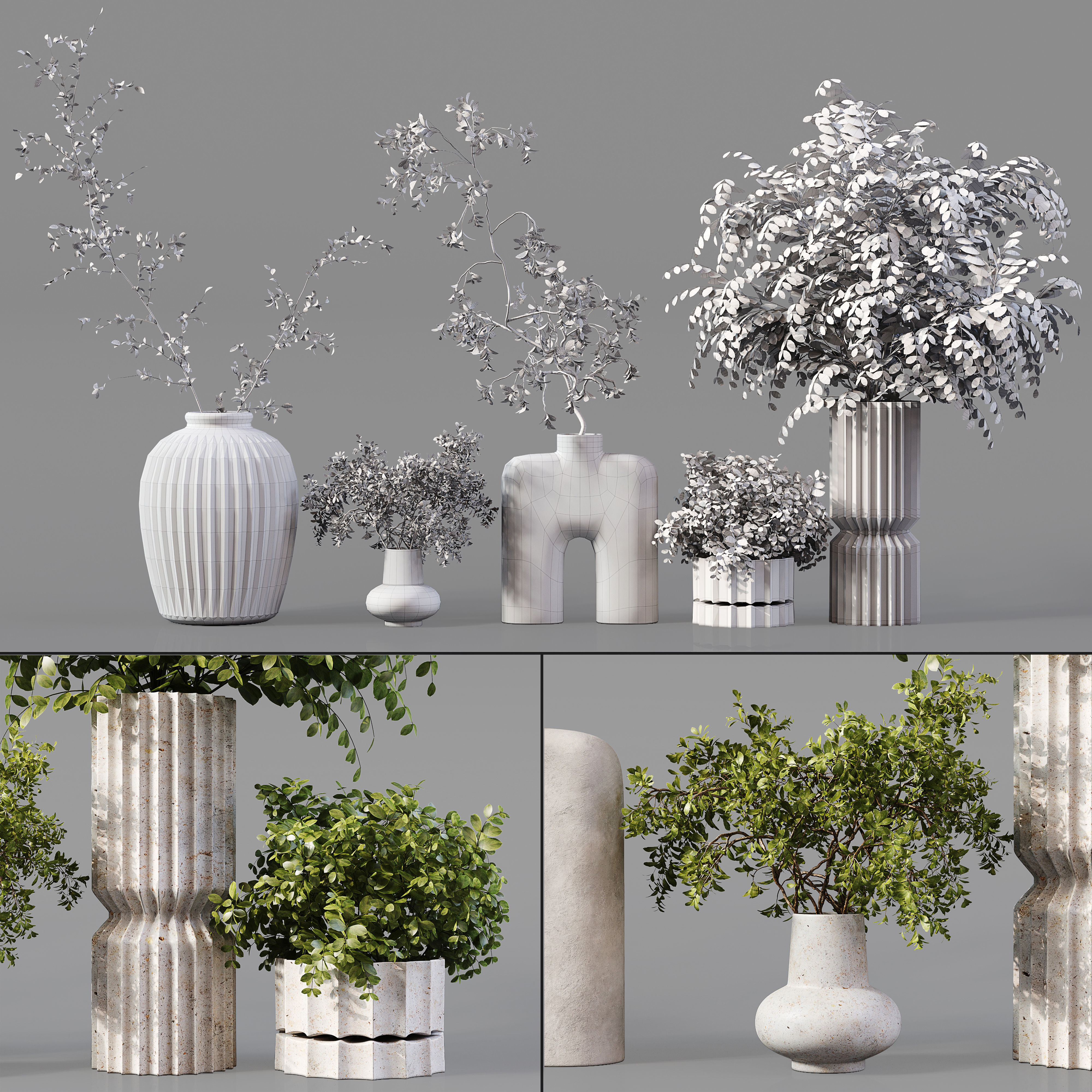 Collection Indoor Plants 019 3D model_4
