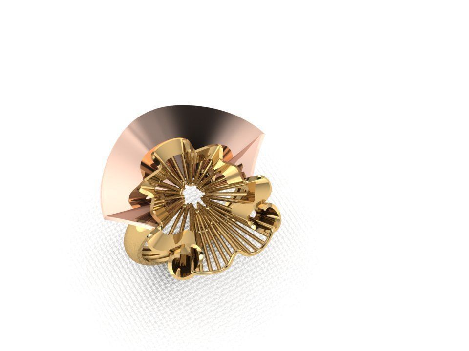 ring 116 3D print model_9