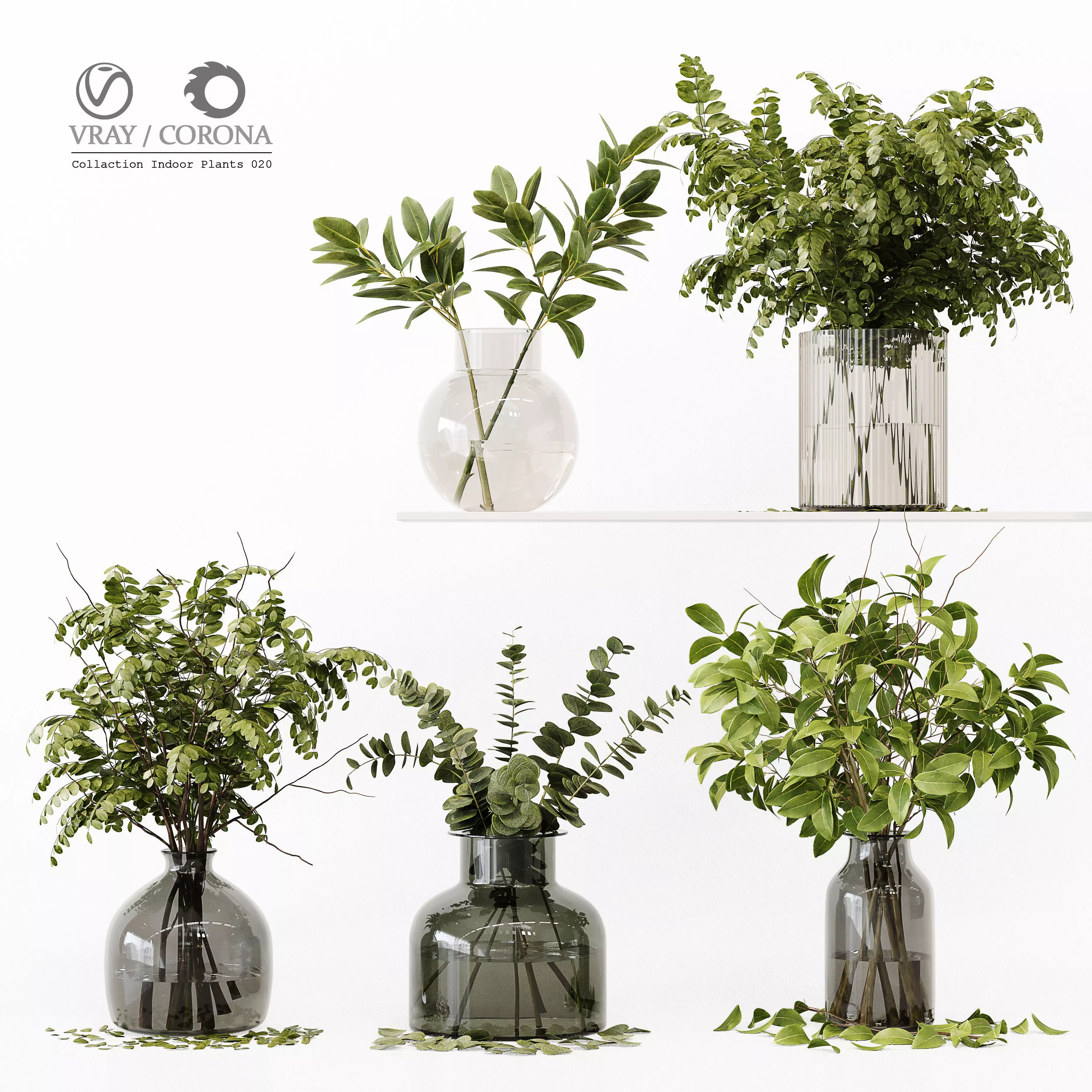 Collection Indoor Plants 020 3D model_0