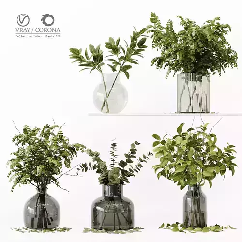 Collection Indoor Plants 020 3D model