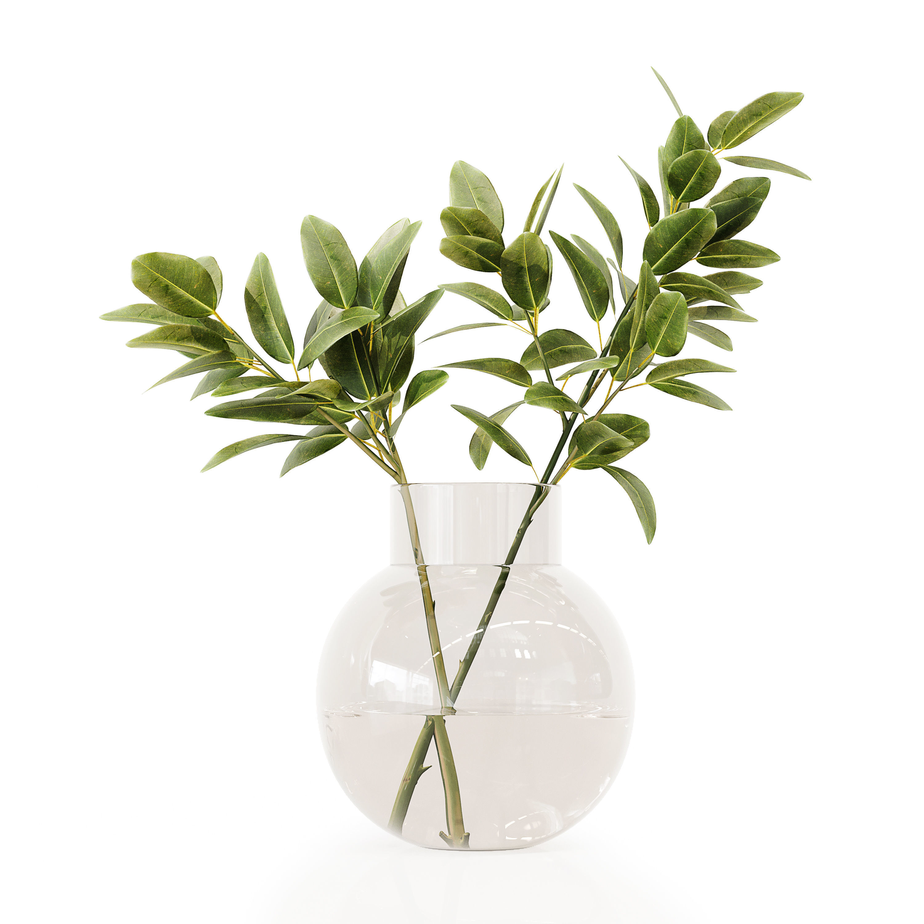 Collection Indoor Plants 020 3D model_5