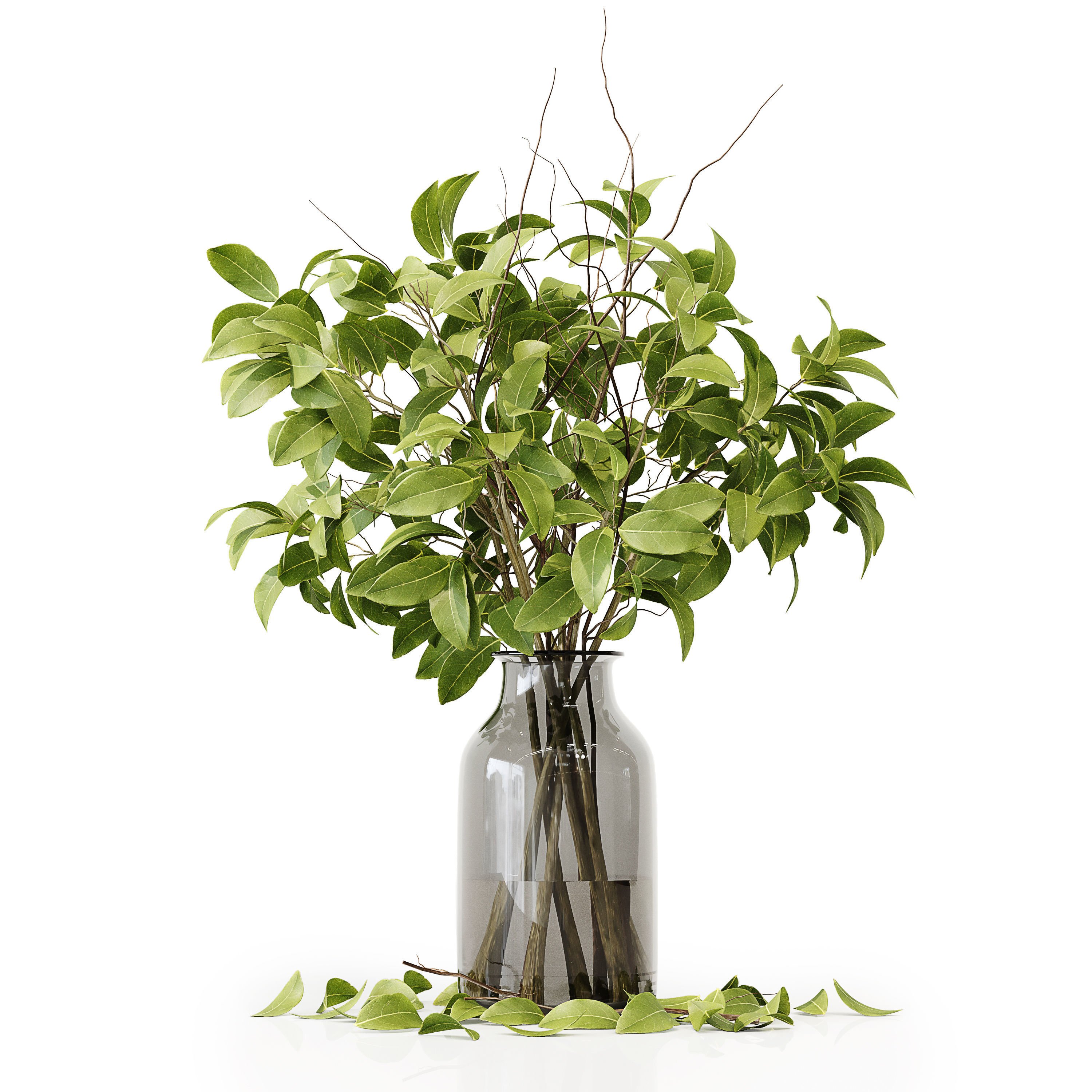 Collection Indoor Plants 020 3D model_15