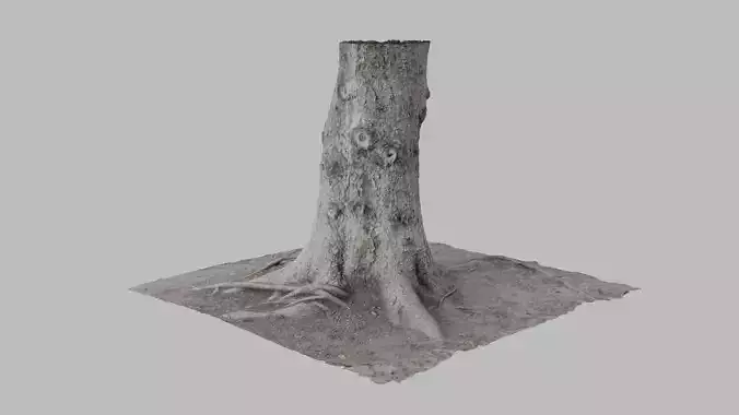 Pine Tree Trunk - Photoscan 3D Model - Varying LOD Free low-poly 3D model
