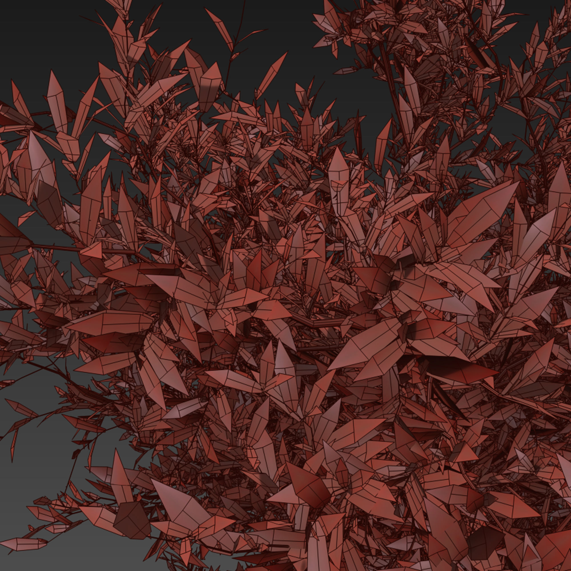 Purpurea bush 3D model_6