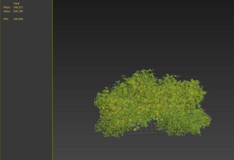 Rudy haag burning bush 3D model_7