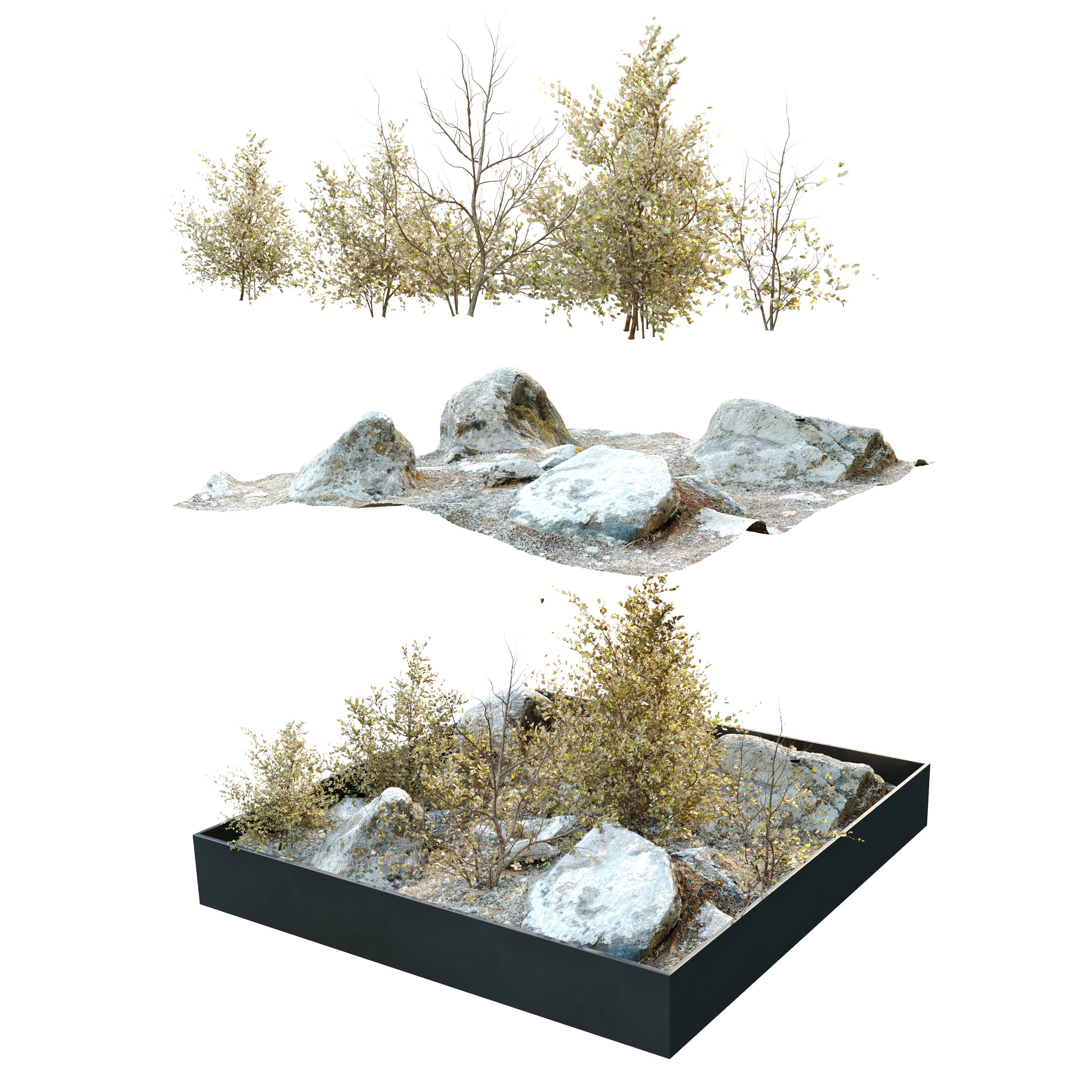Dry plants in rocky base 3D model_2